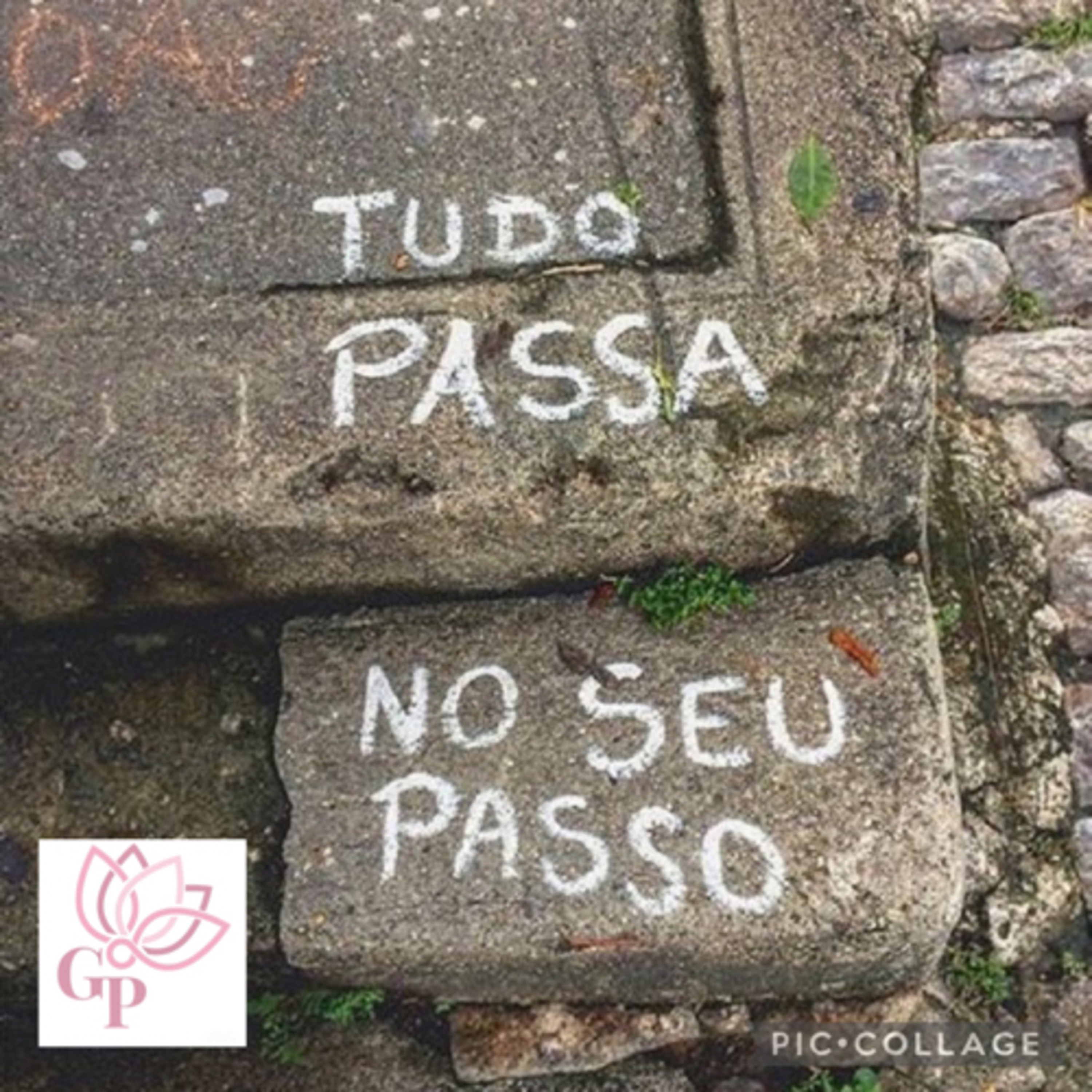 Giovanna L T Paulineli 💜💫