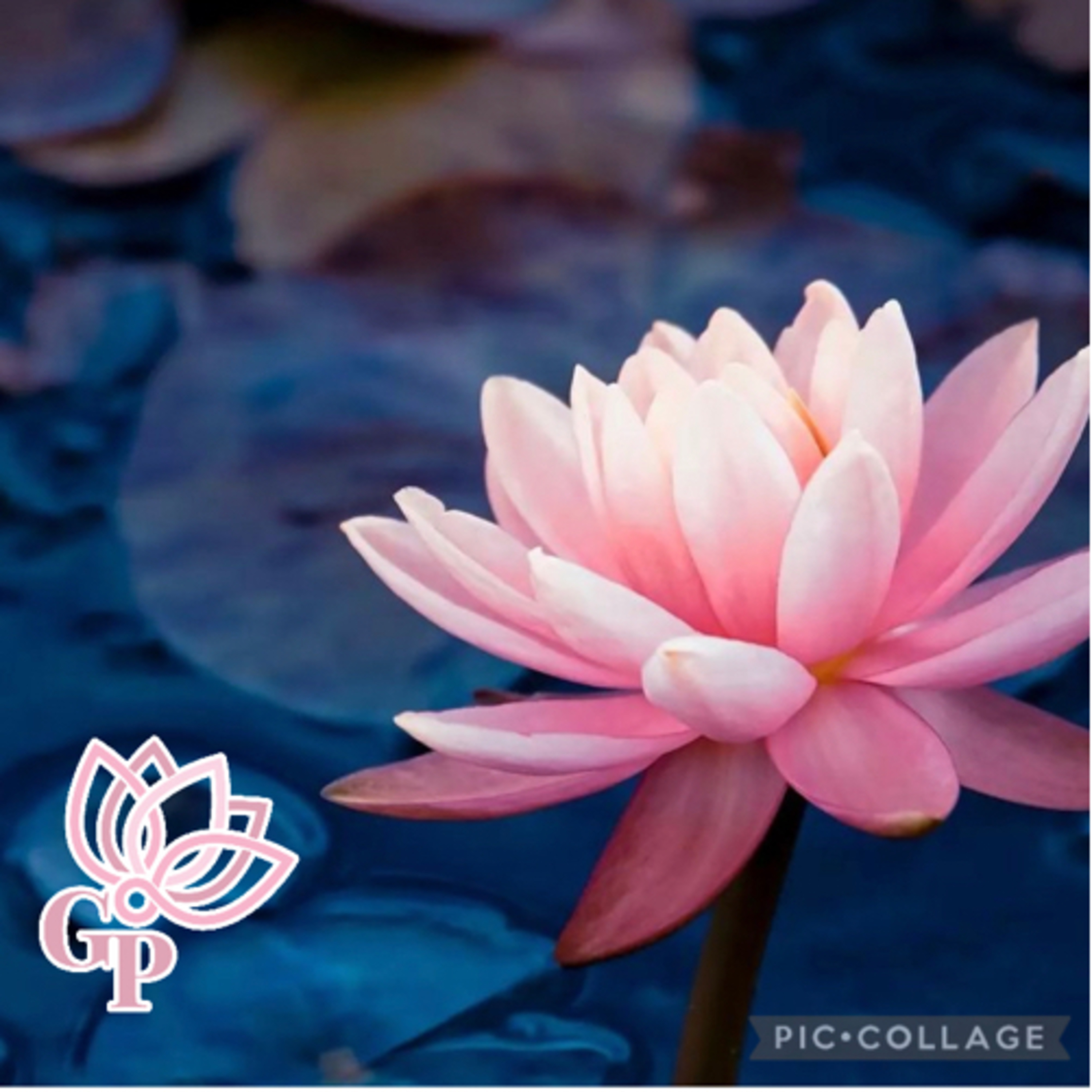 Lutas & Batalhas Internas !!! 🧘🏻♀️🧿🌺💟☮️✝️🕉♋️🤍