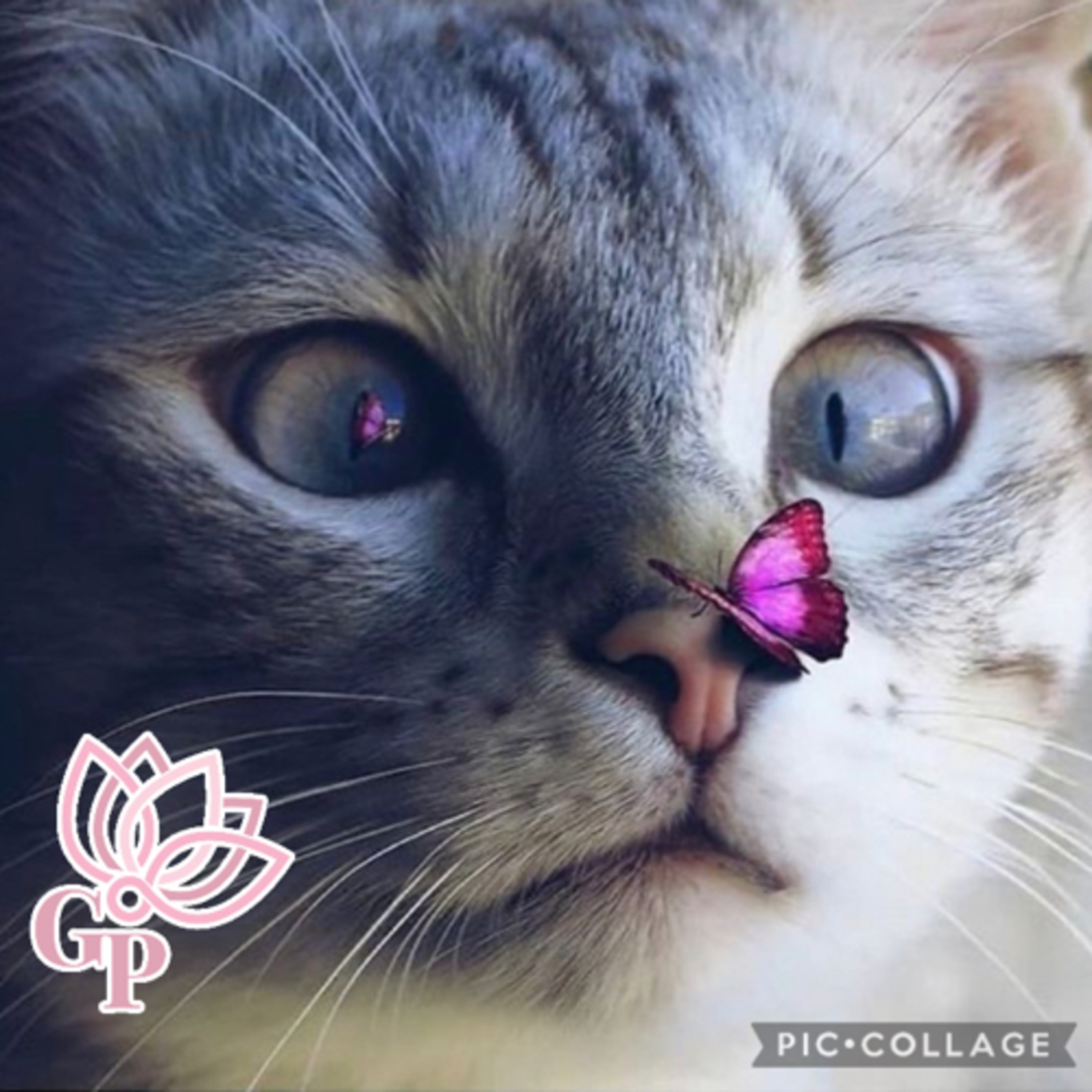 A leveza da maturidade!! 💟☮️✝️☪️🕉☯️♋️🧿