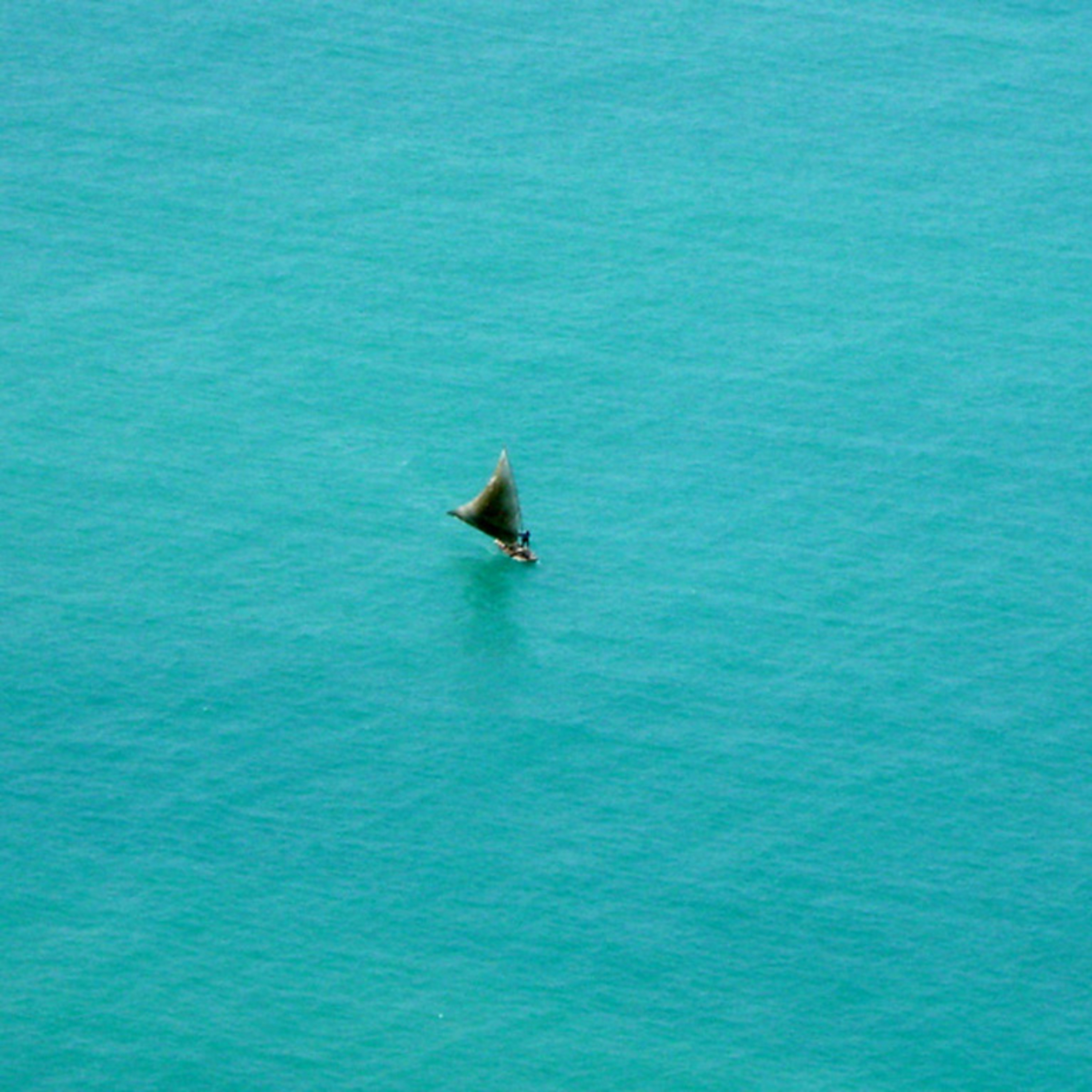 Podcasts de Ecologia/Composições musicais/NaturezaEcology Podcasts/Musical Compositions/Nature