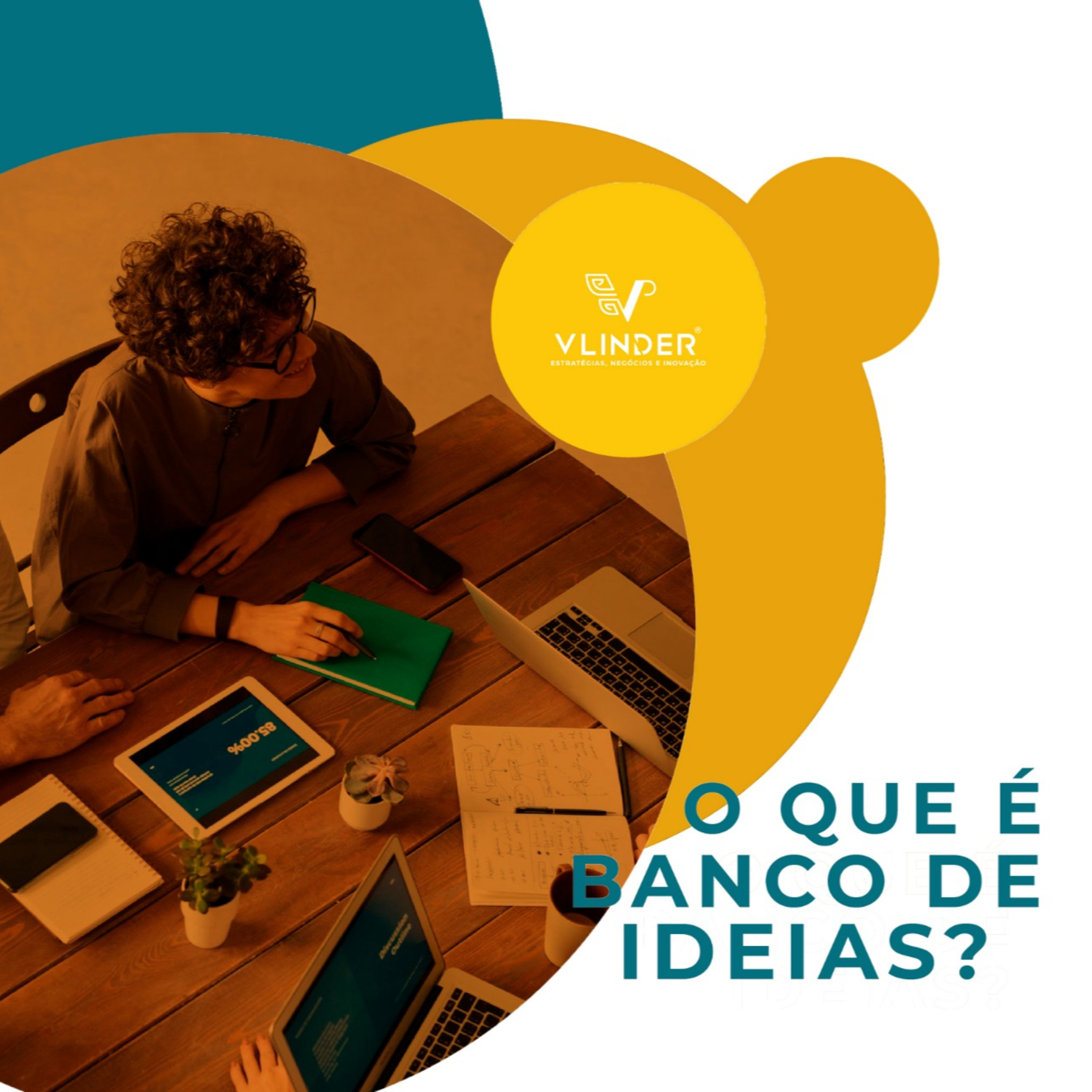 Vlinder - Gestão da Inovação