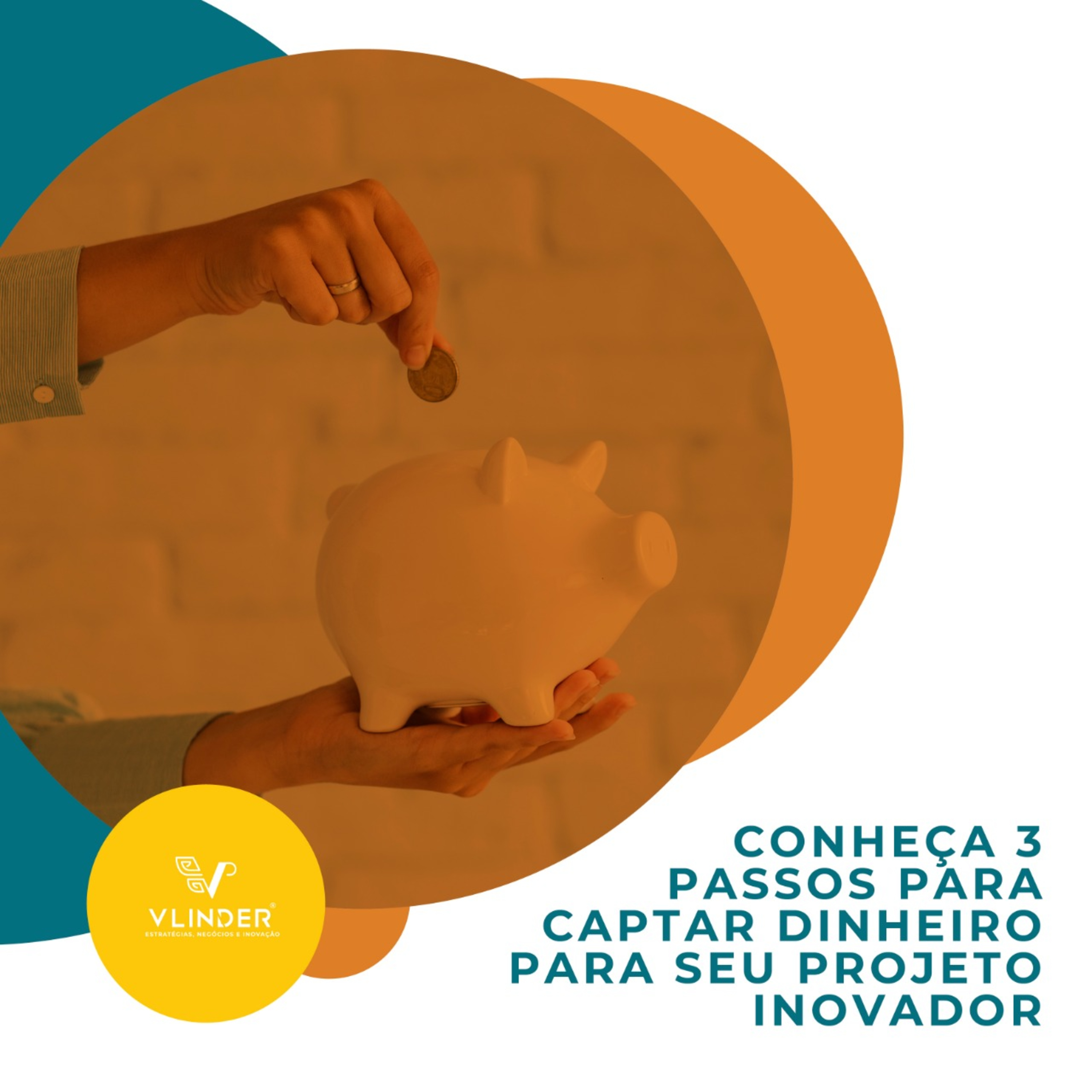 Vlinder - Gestão da Inovação