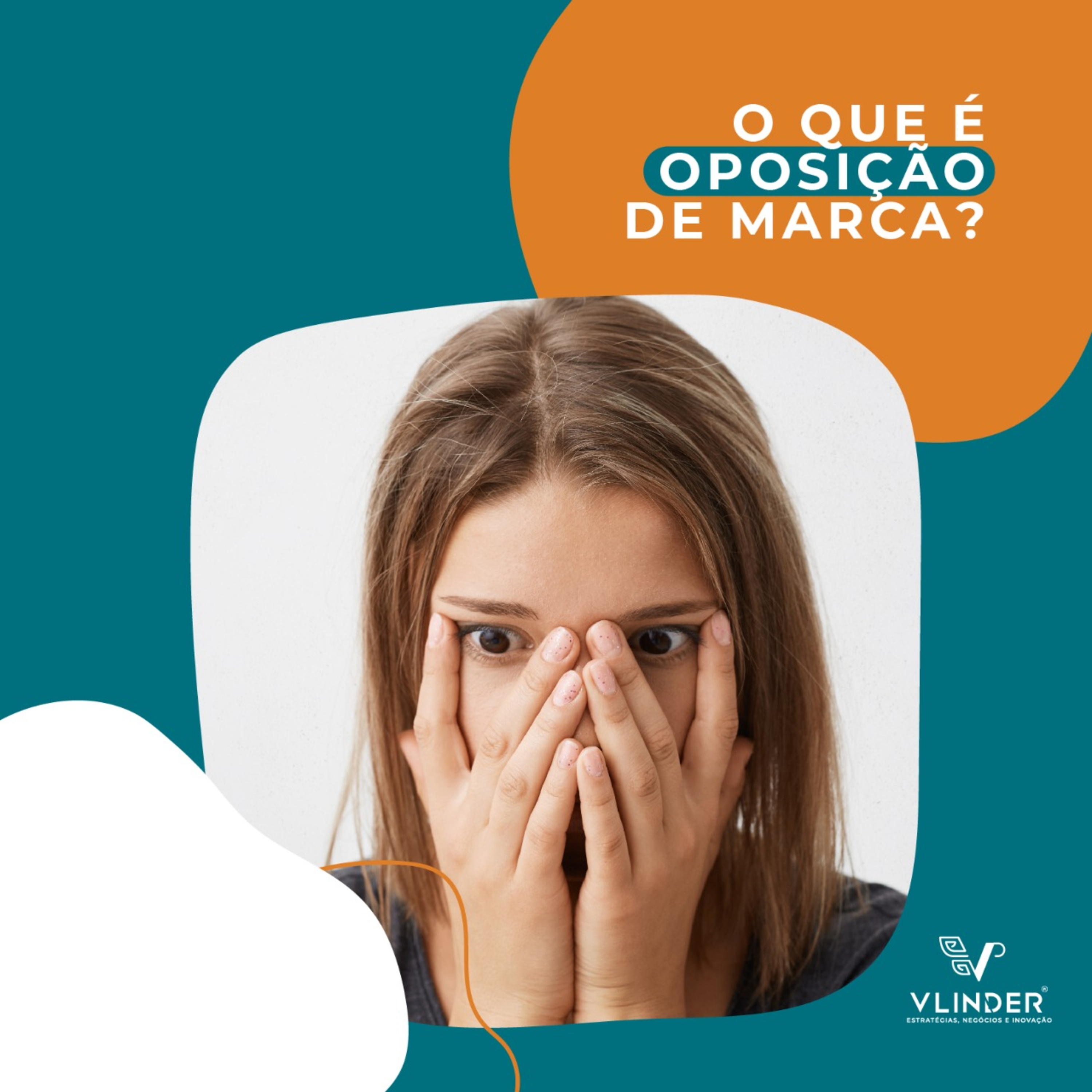 Vlinder - Gestão da Inovação