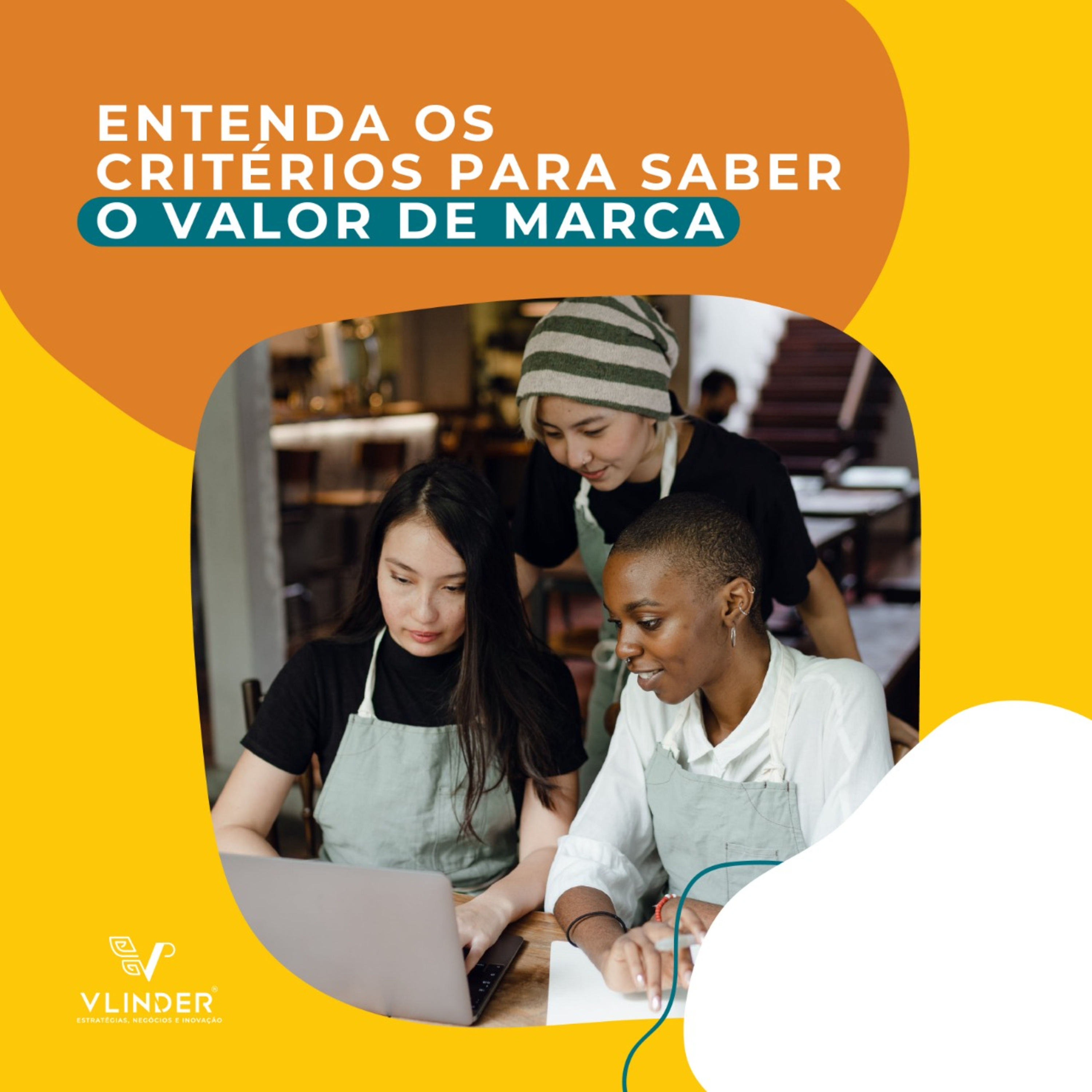 Vlinder - Gestão da Inovação