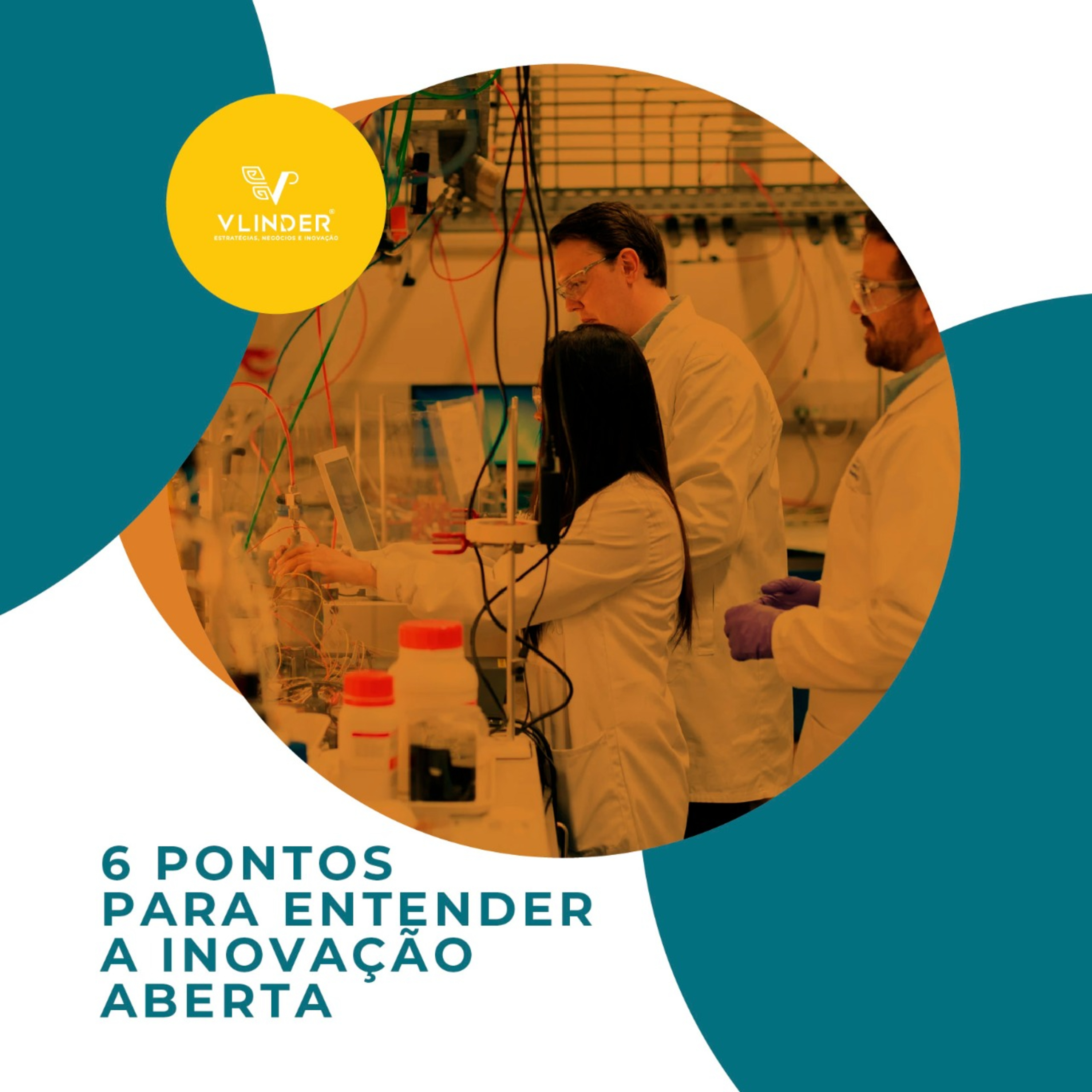 Vlinder - Gestão da Inovação