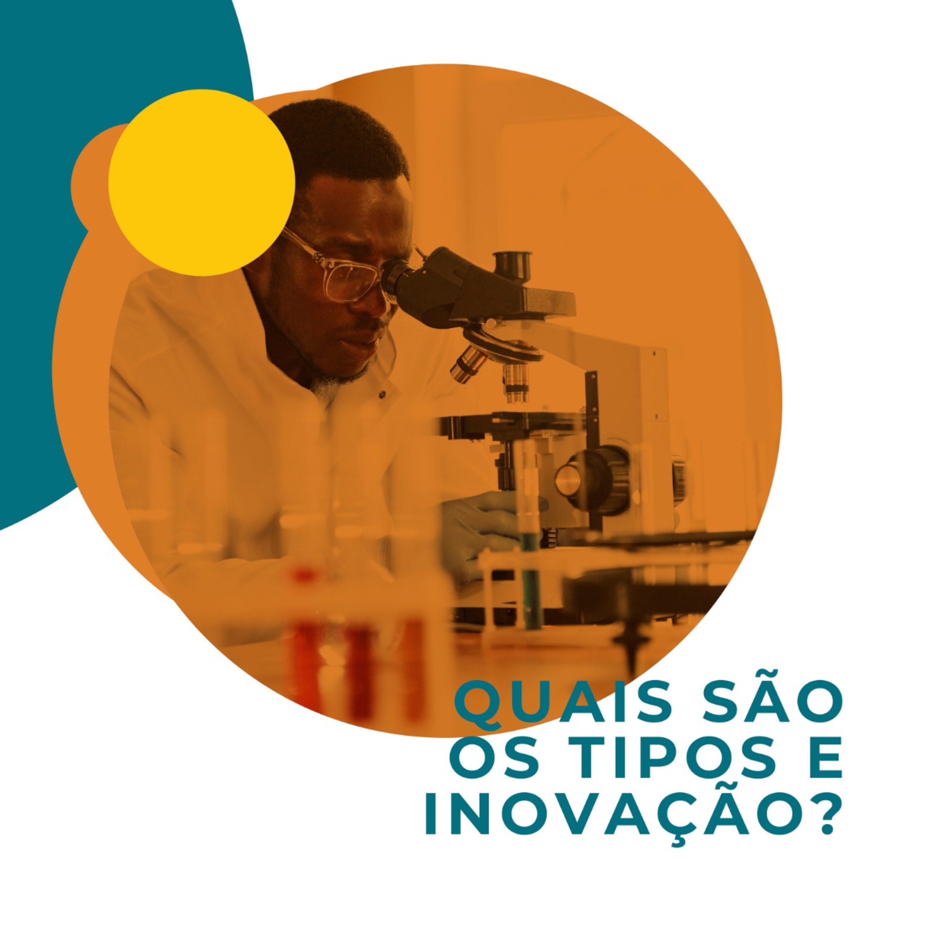 Vlinder - Gestão da Inovação