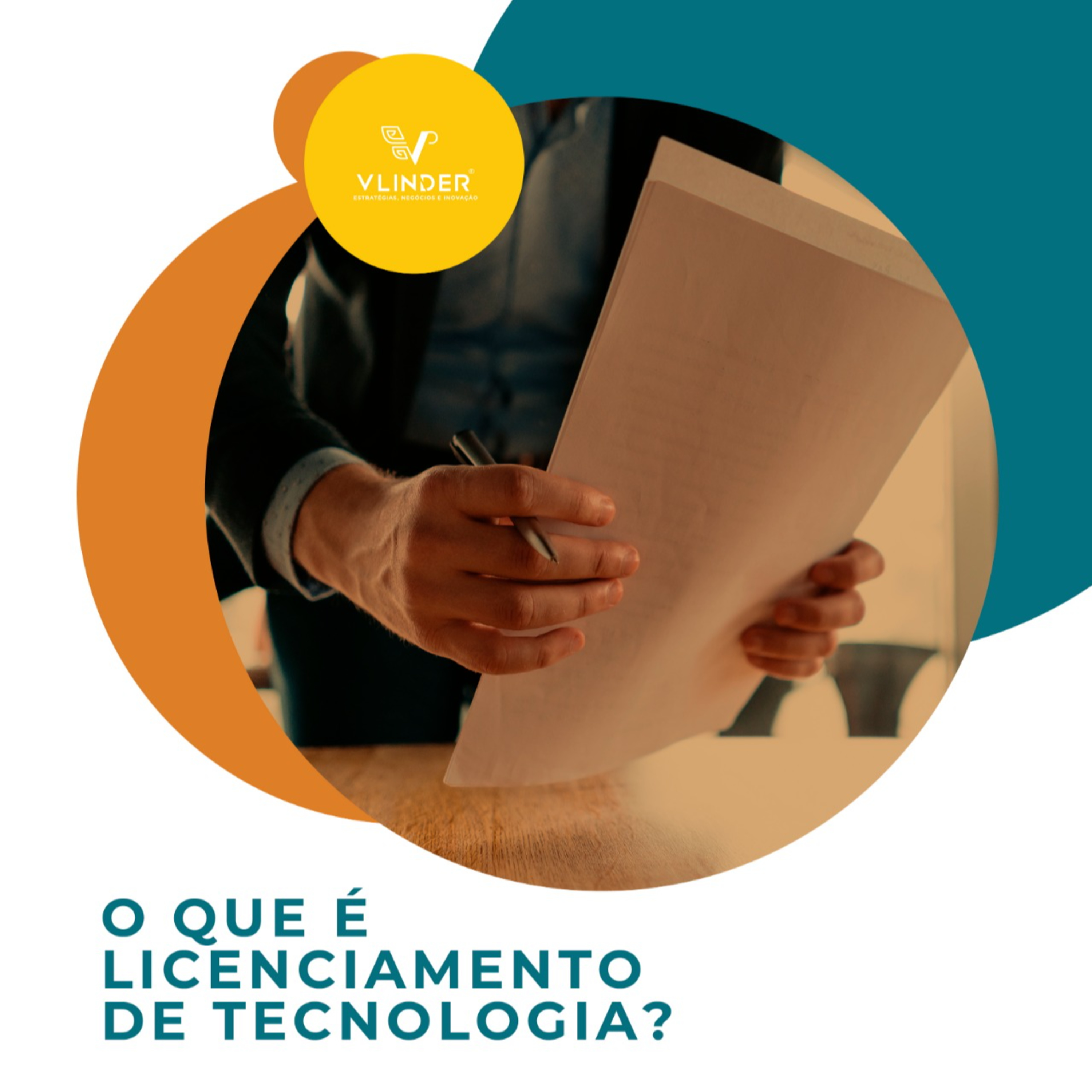 Vlinder - Gestão da Inovação
