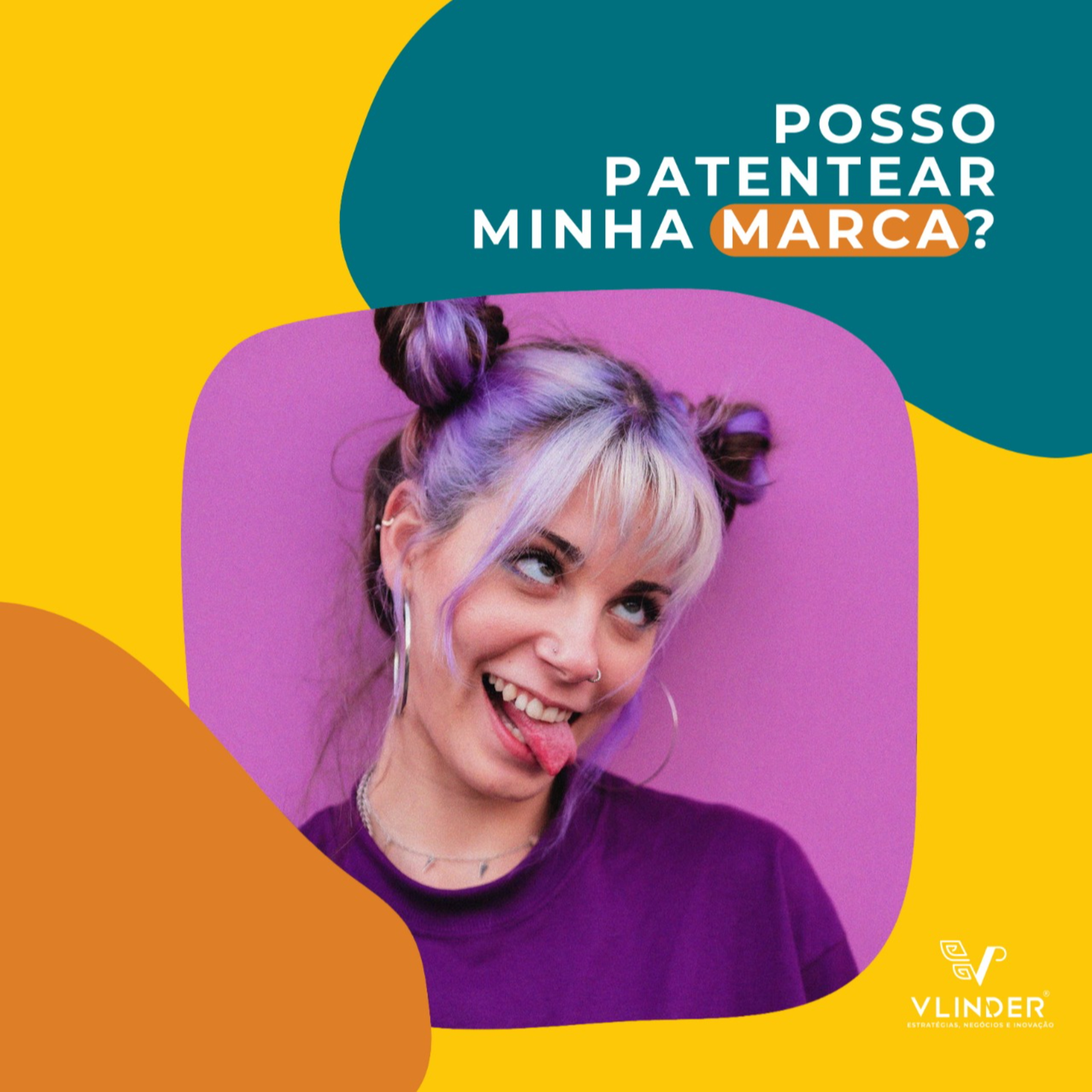 Vlinder - Gestão da Inovação