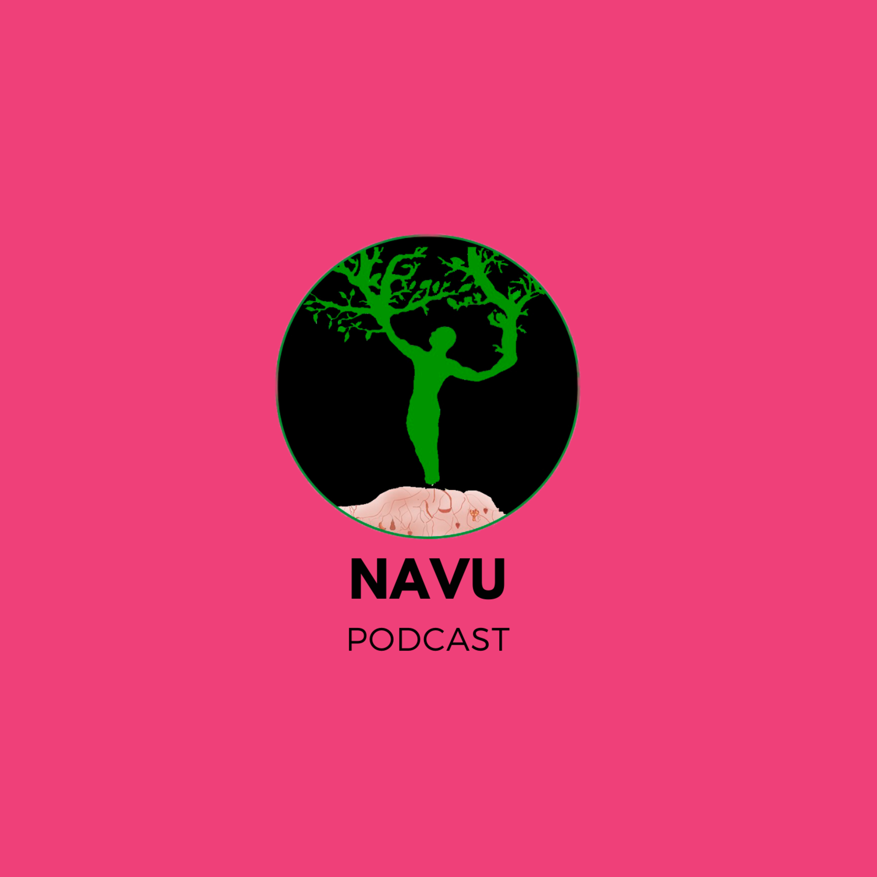 Navu co