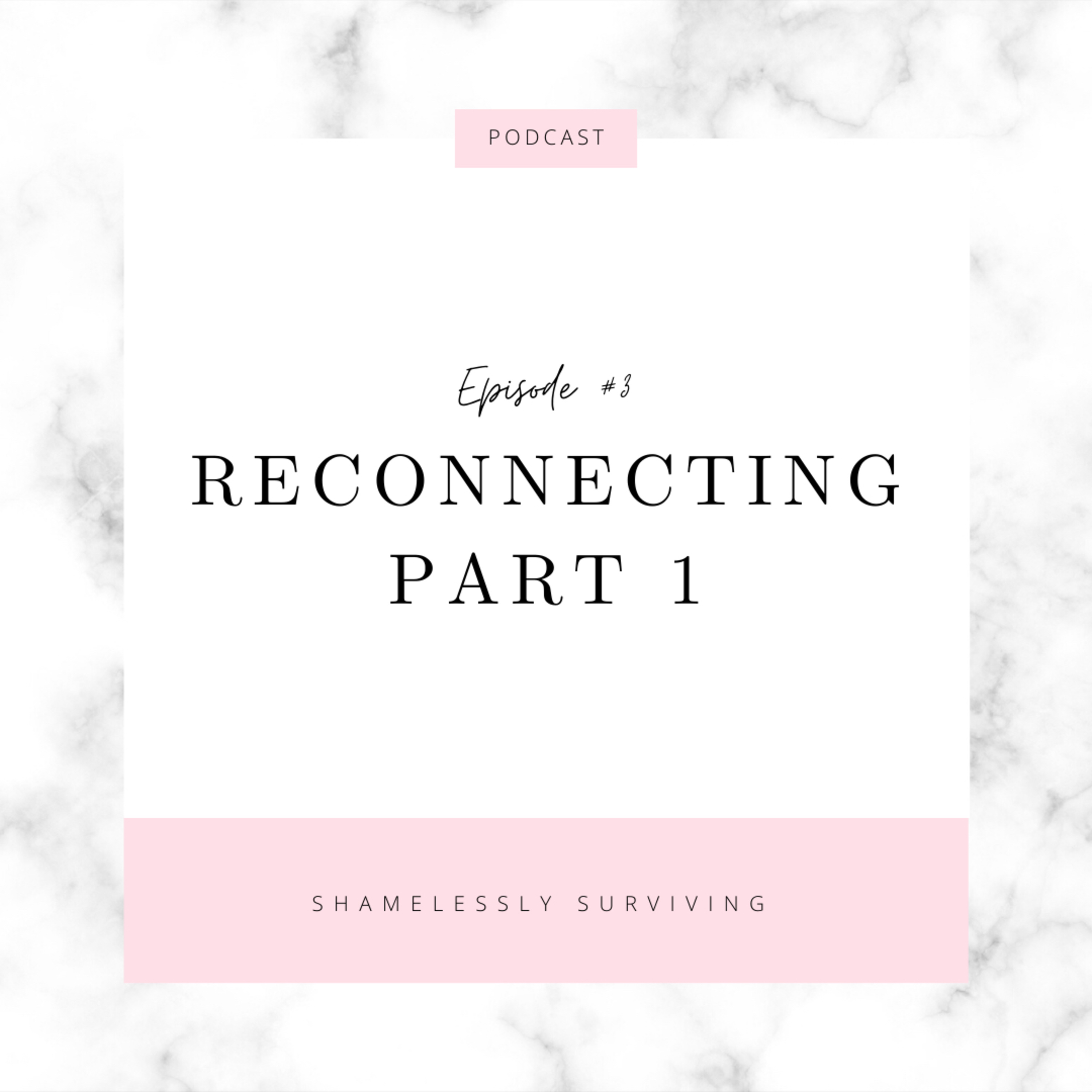 E3: Reconnecting Pt. 1 episode artwork