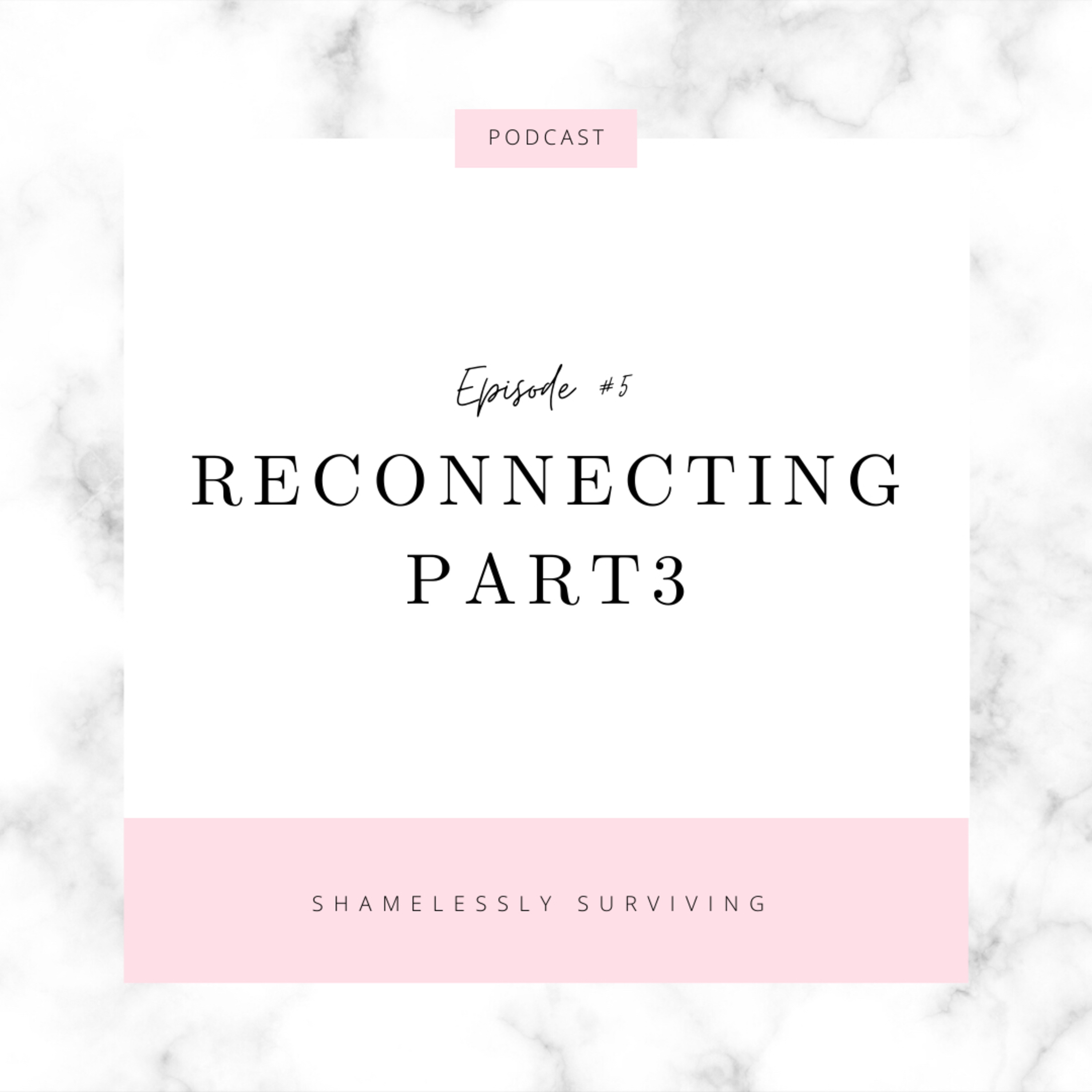 E5: Reconnecting Pt. 3 episode artwork