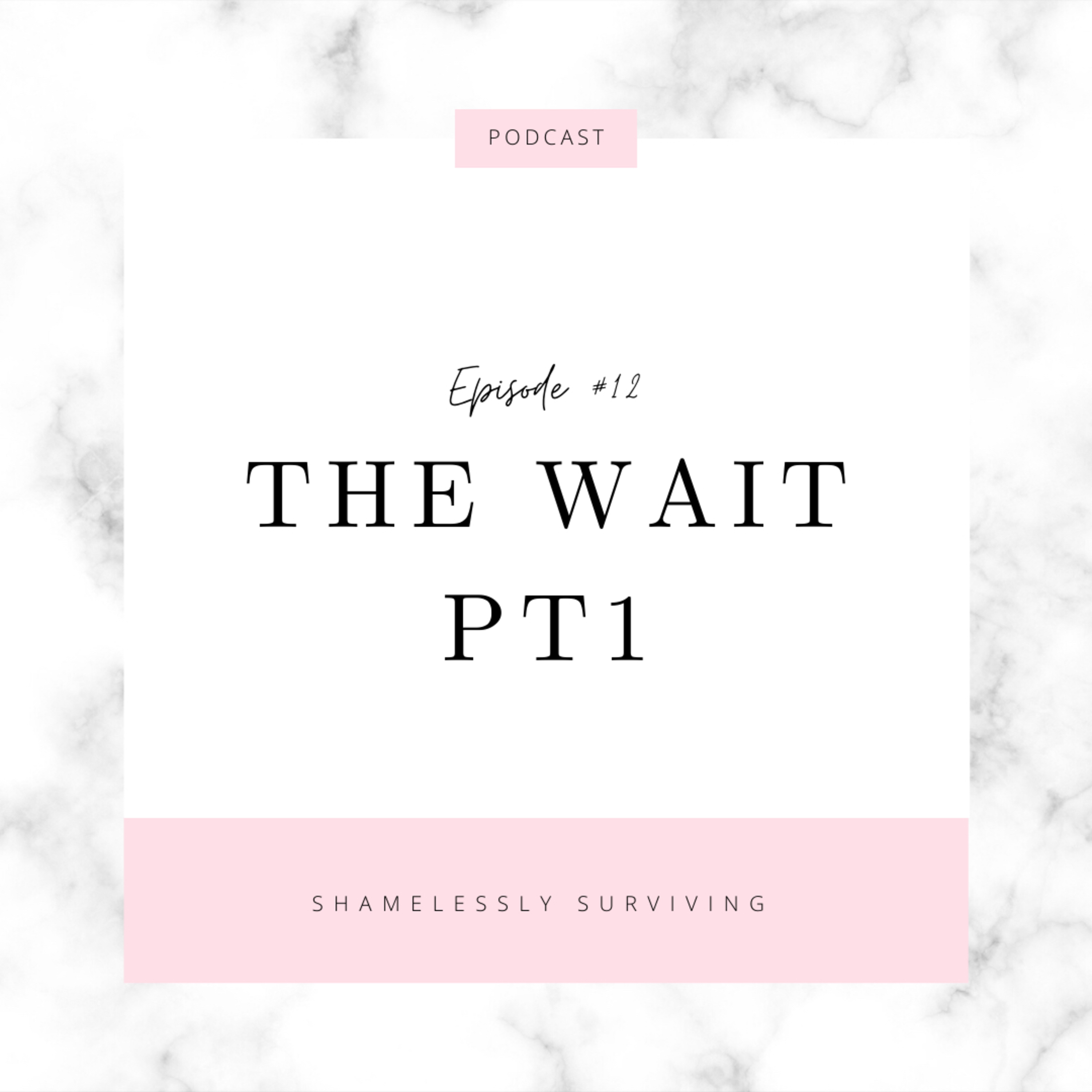 E12: The Wait (Pt 1) episode artwork