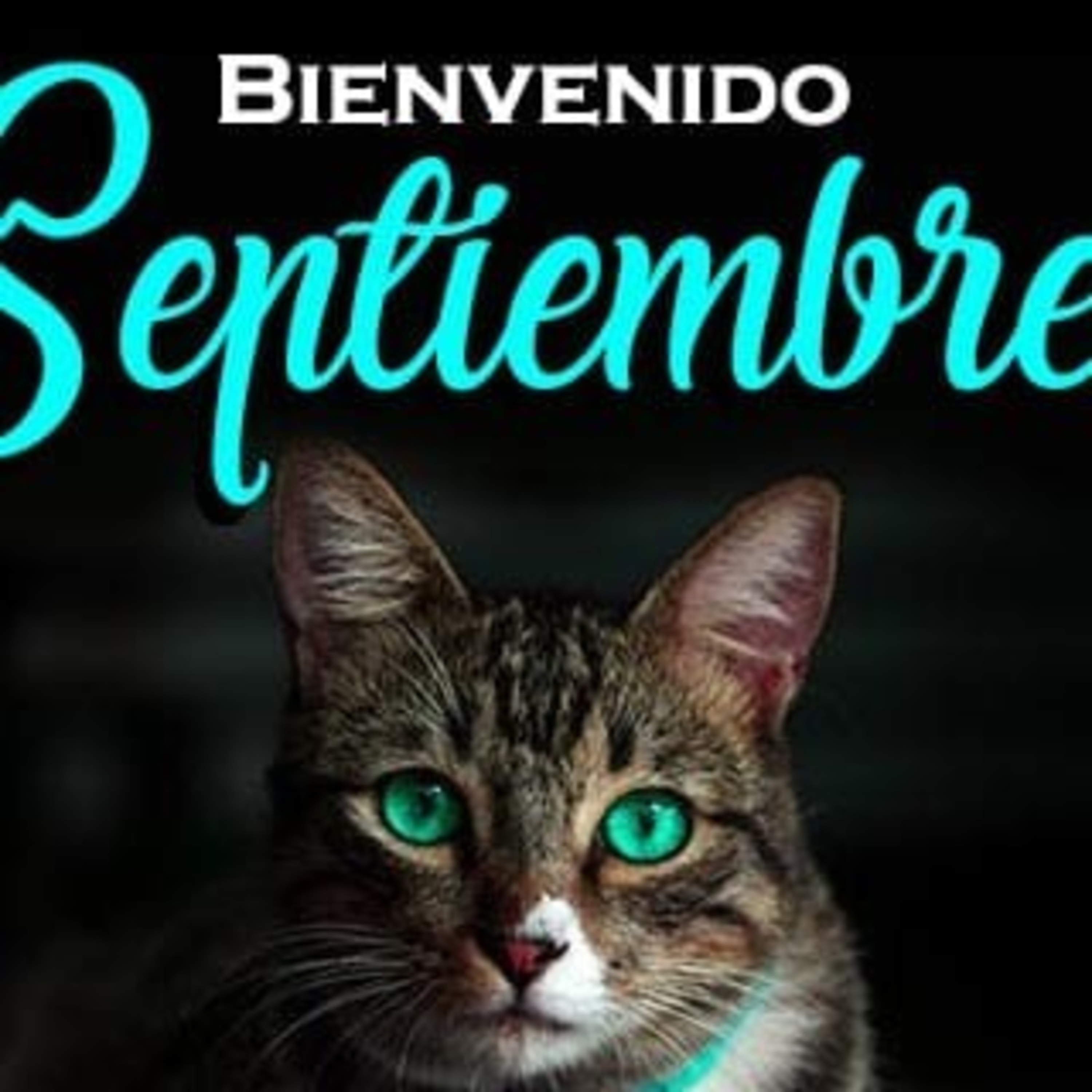 Tiempo Para Compartir Experiencias Educativas
