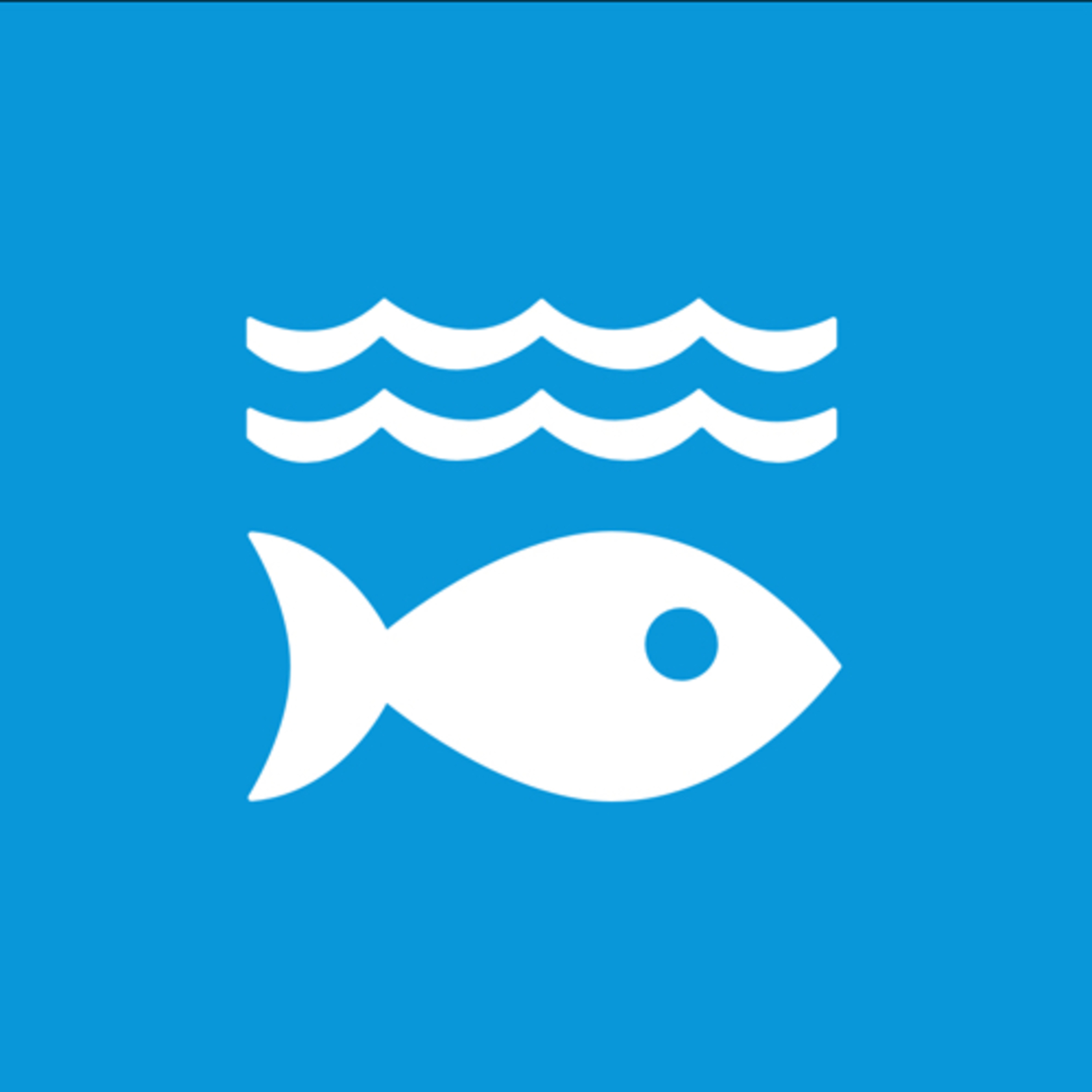 Life below water
