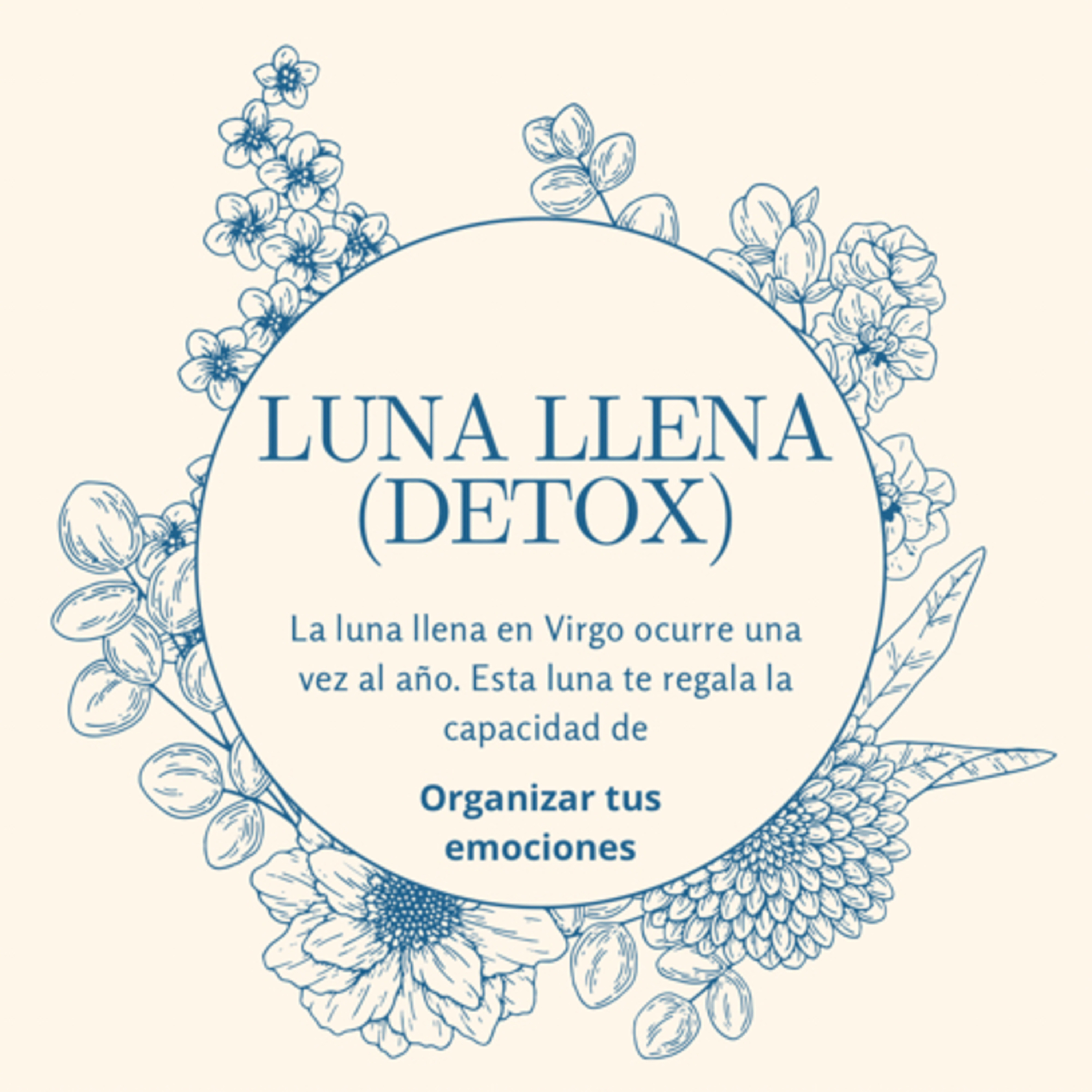 Meditación de Luna Llena en Virgo episode artwork