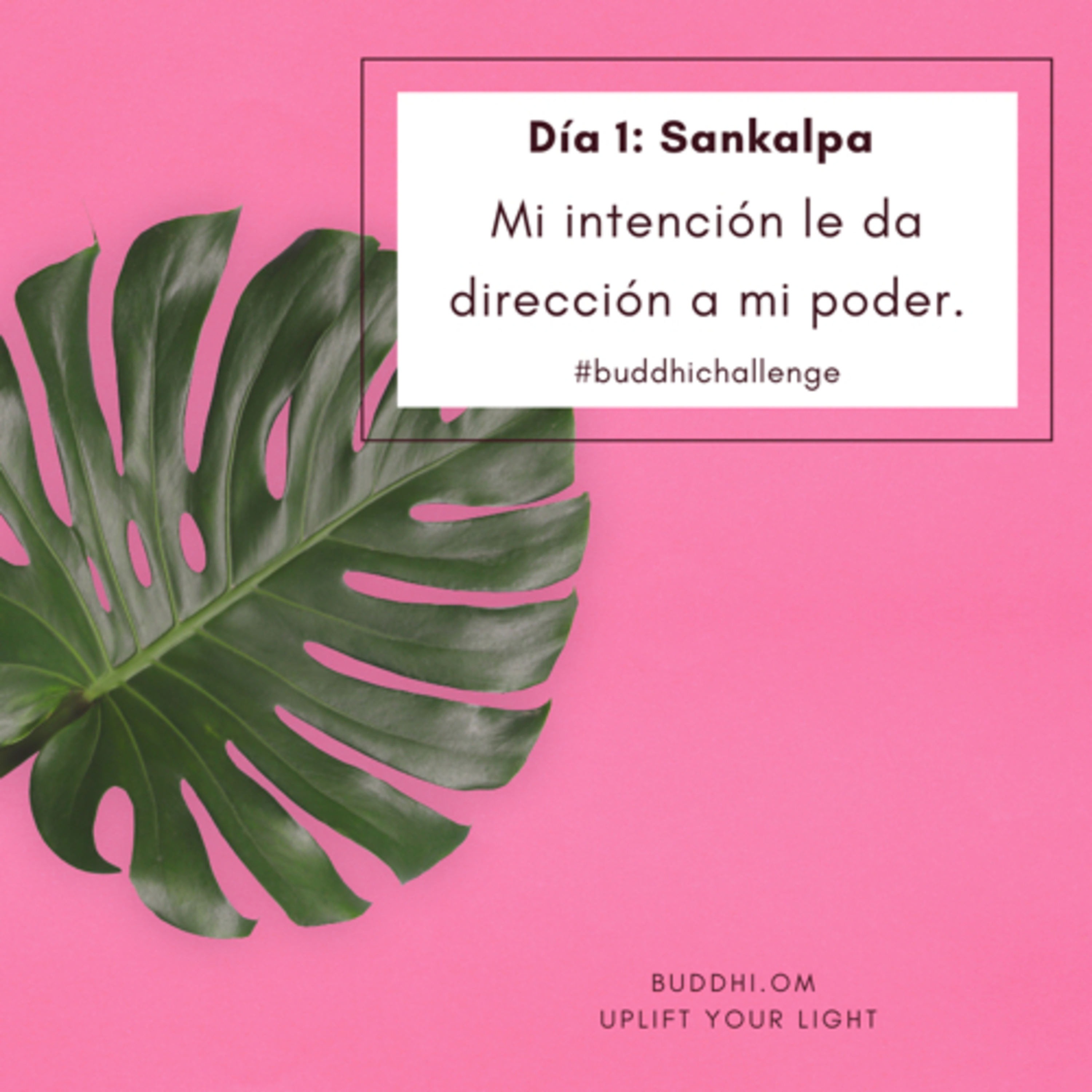 Buddhi Challenge Día 1- Sankalpa episode artwork