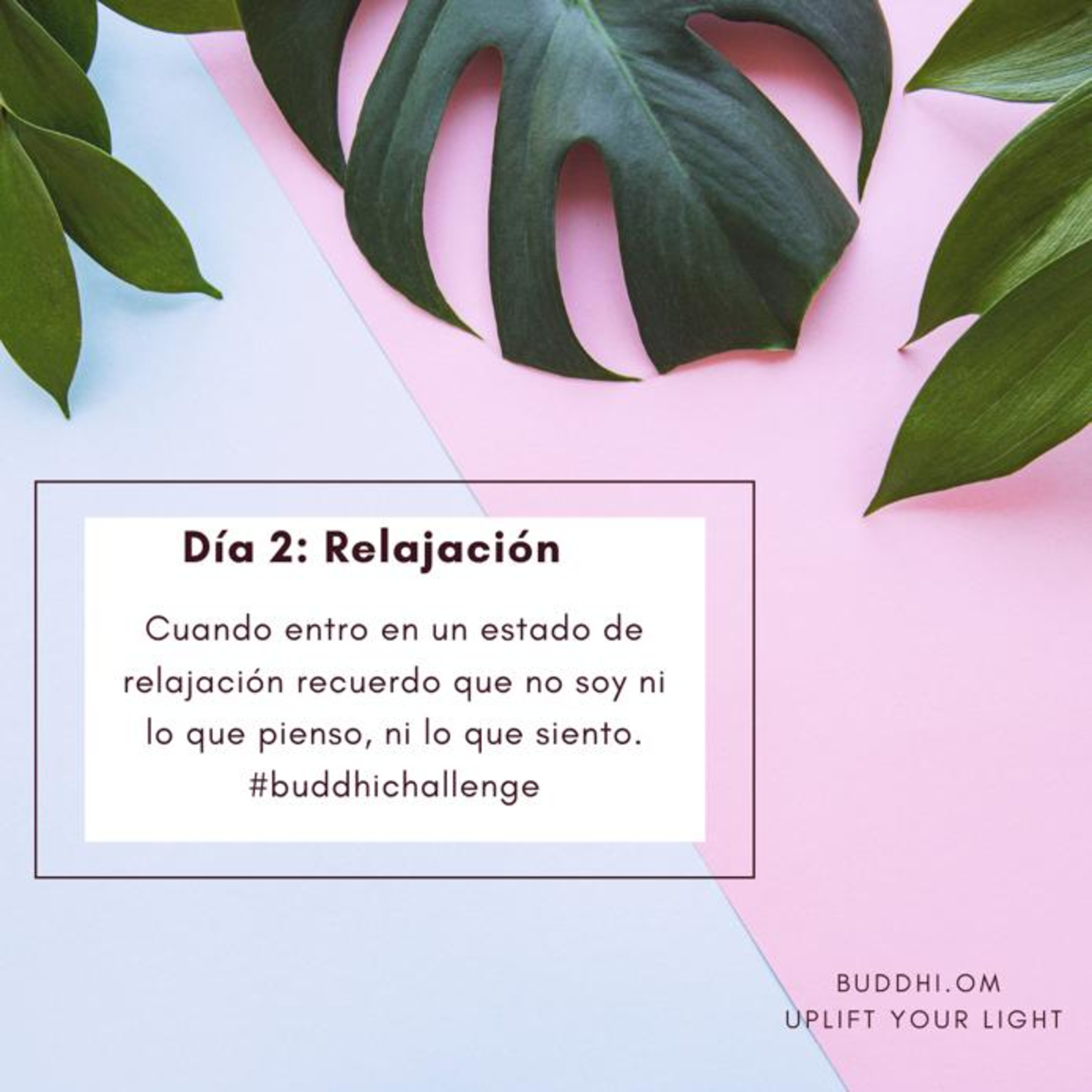 Buddhi Challenge Día 2- Relajación episode artwork