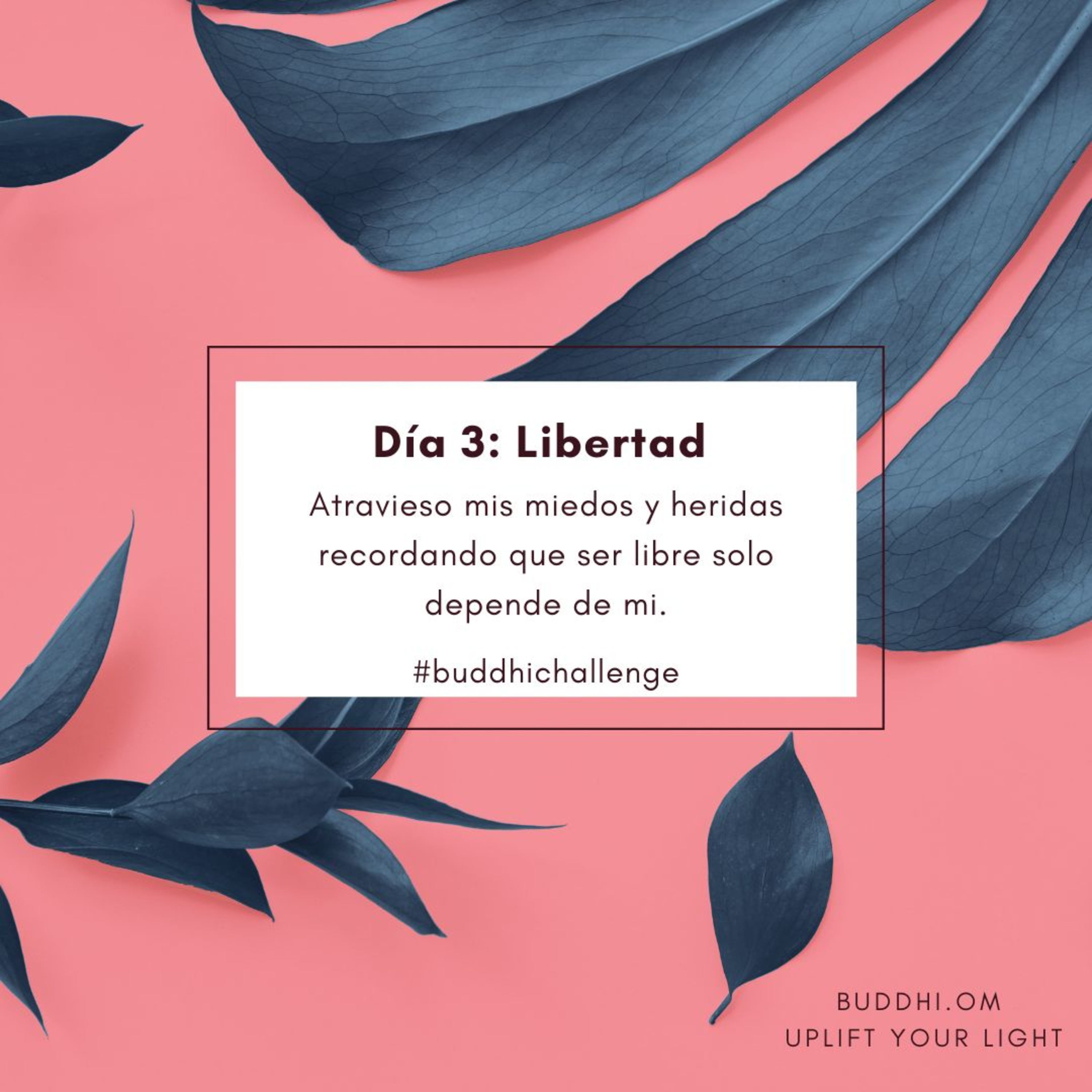Buddhi Challenge Día 3- Libertad episode artwork