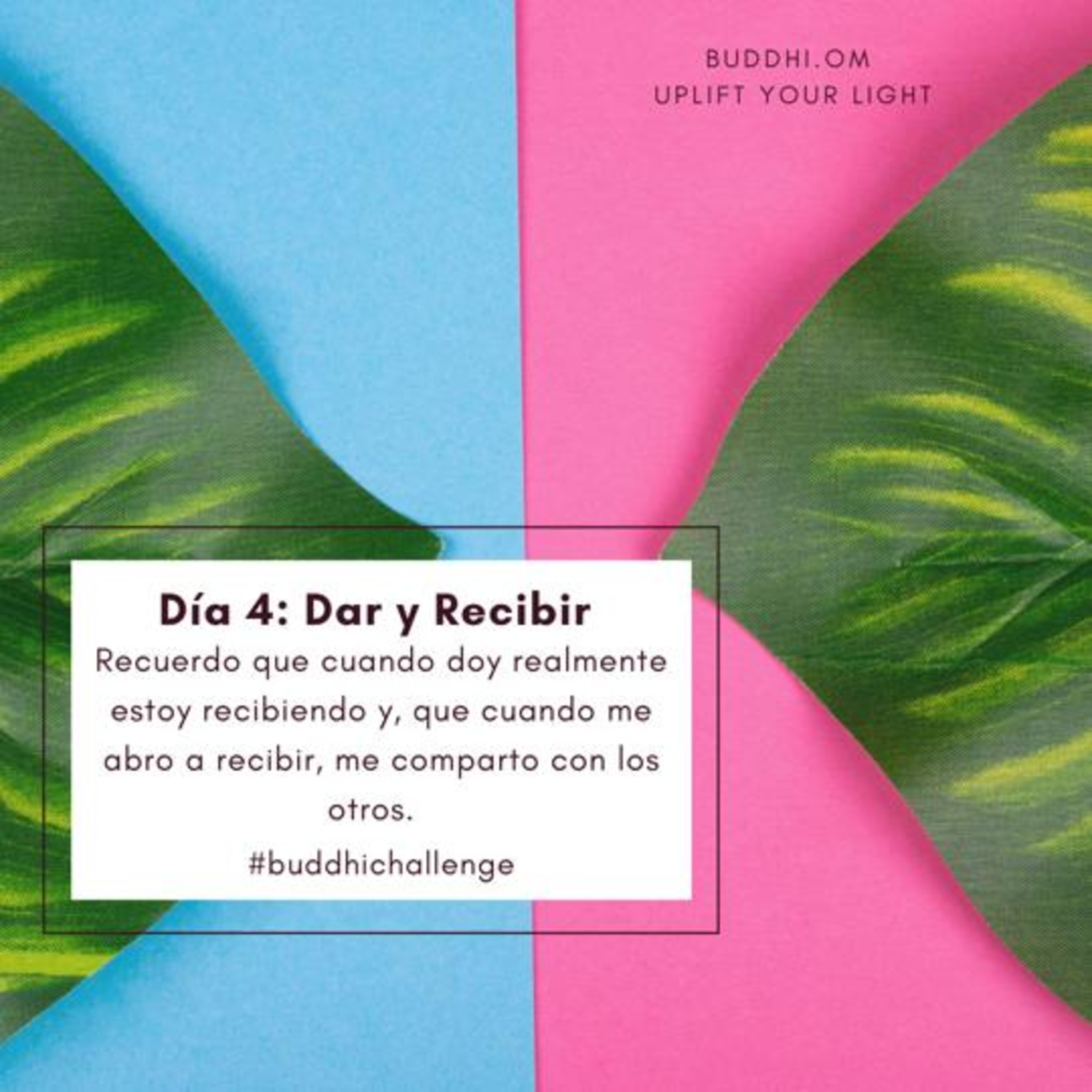 Buddhi Challenge- Día 4- Dar y Recibir  episode artwork