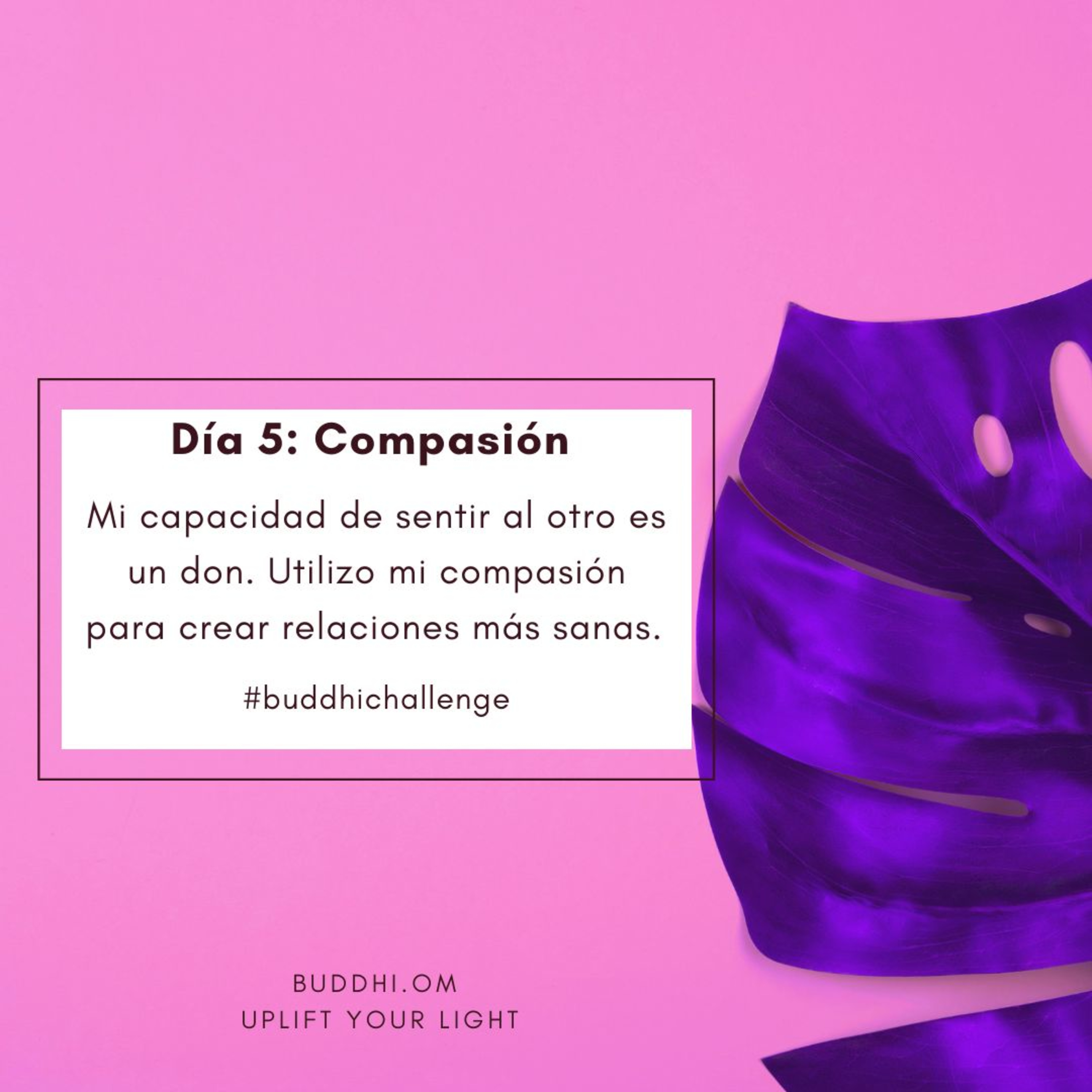 Buddhi Challenge - Día 5- Compasión episode artwork