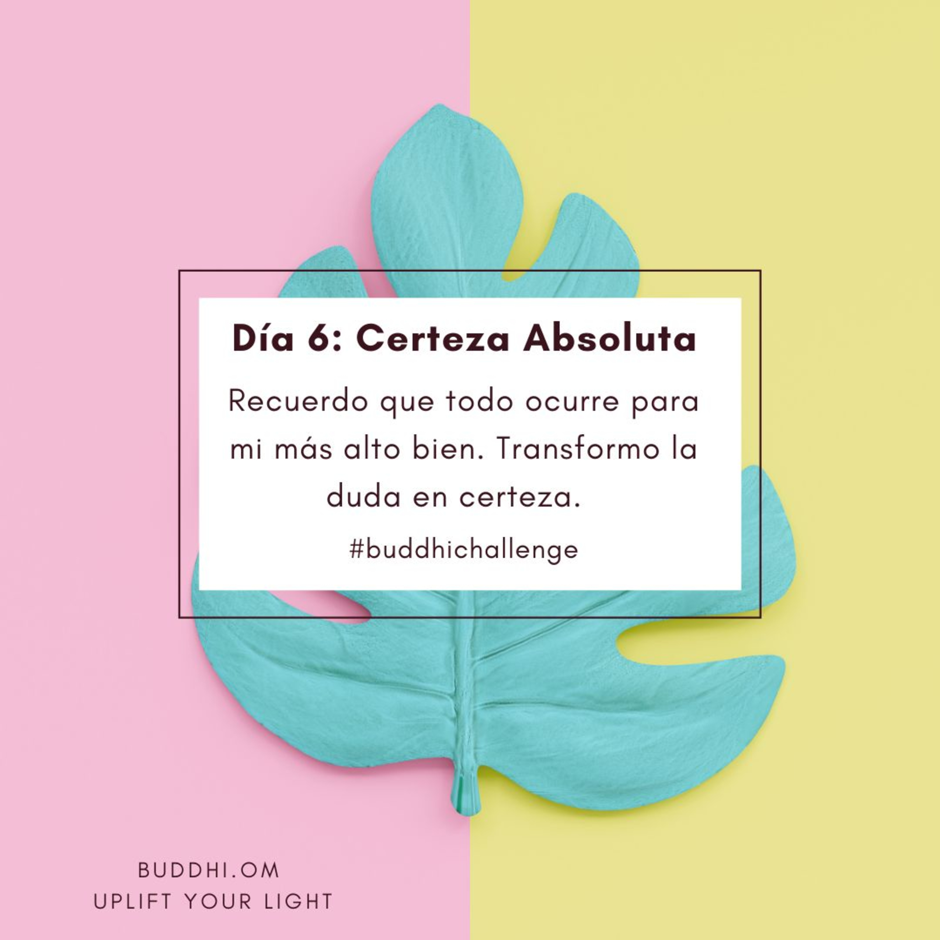 Buddhi Challenge- Día 6- Certeza Absoluta episode artwork
