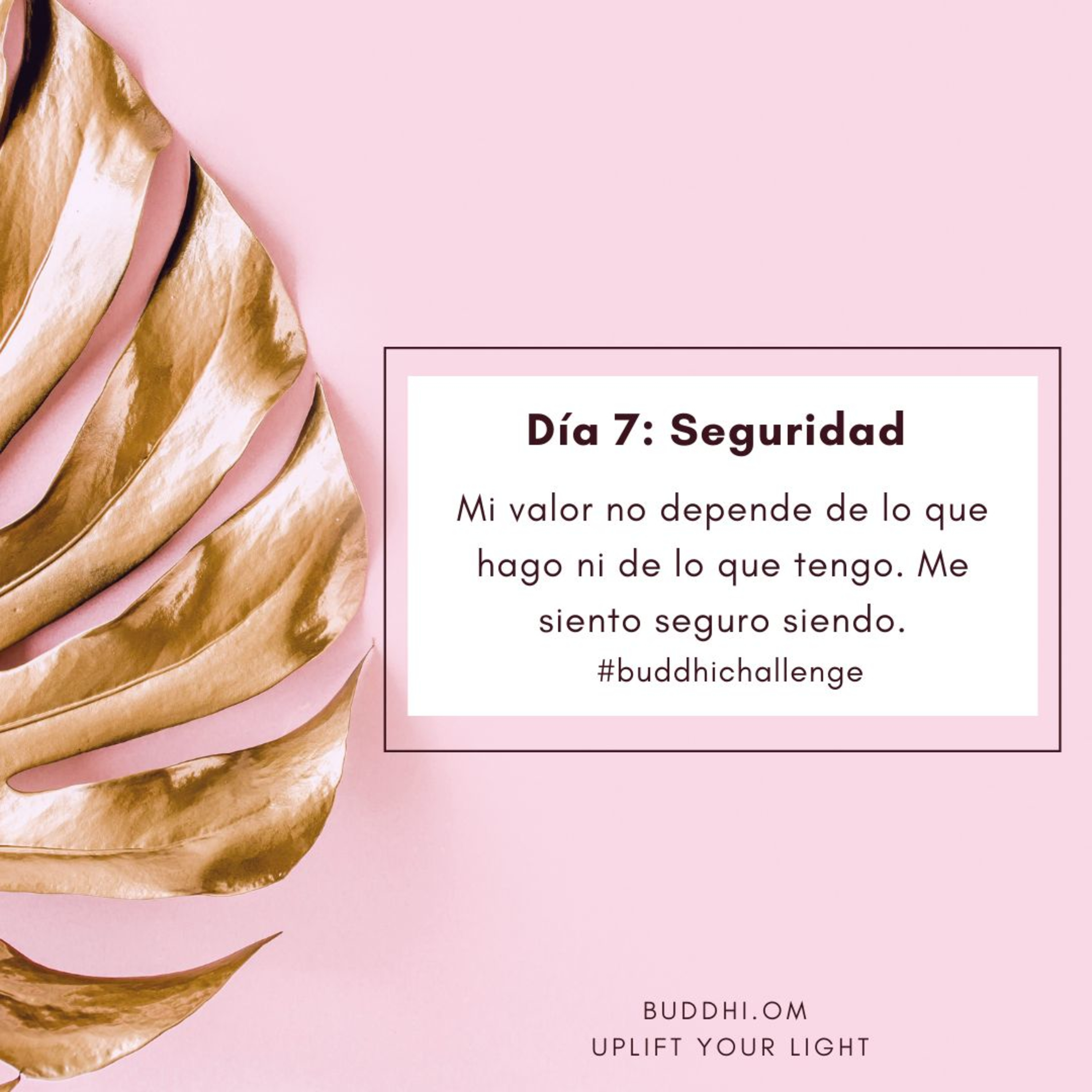 Buddhi Challenge Día 7- Seguridad episode artwork