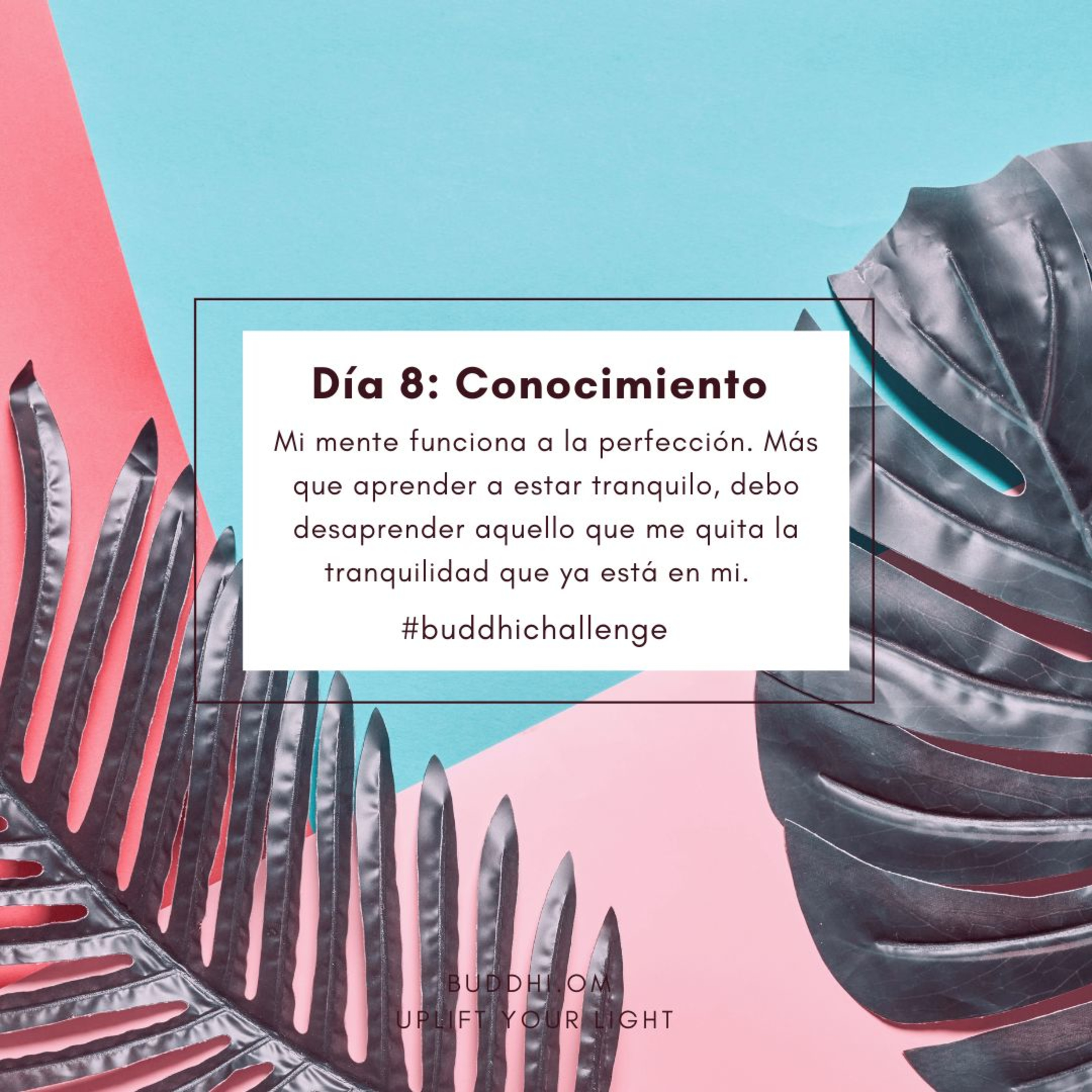 Buddhi Challenge Día 8- Conocimiento episode artwork