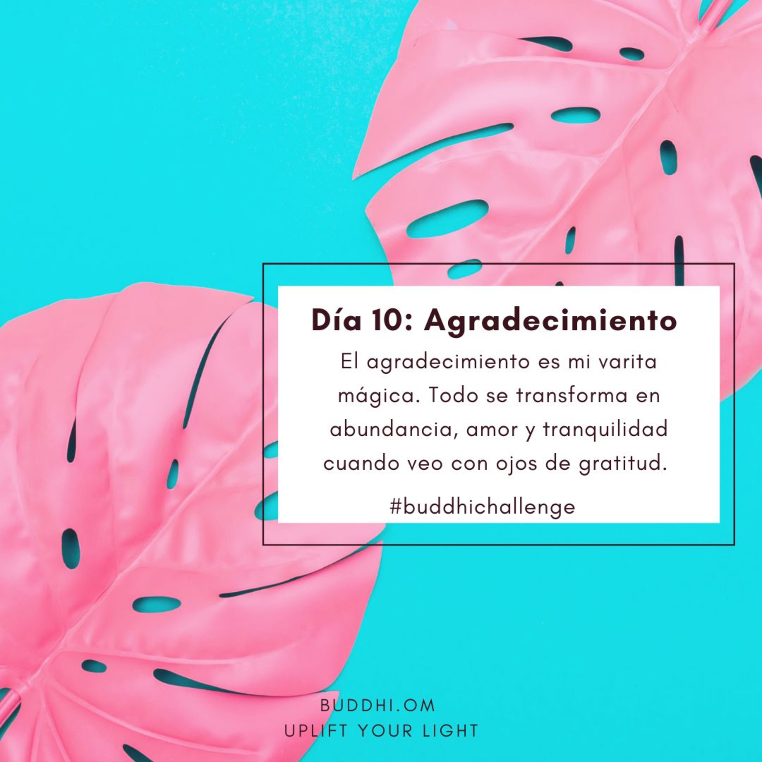 Buddhichallenge Día 10- Agradecimiento episode artwork