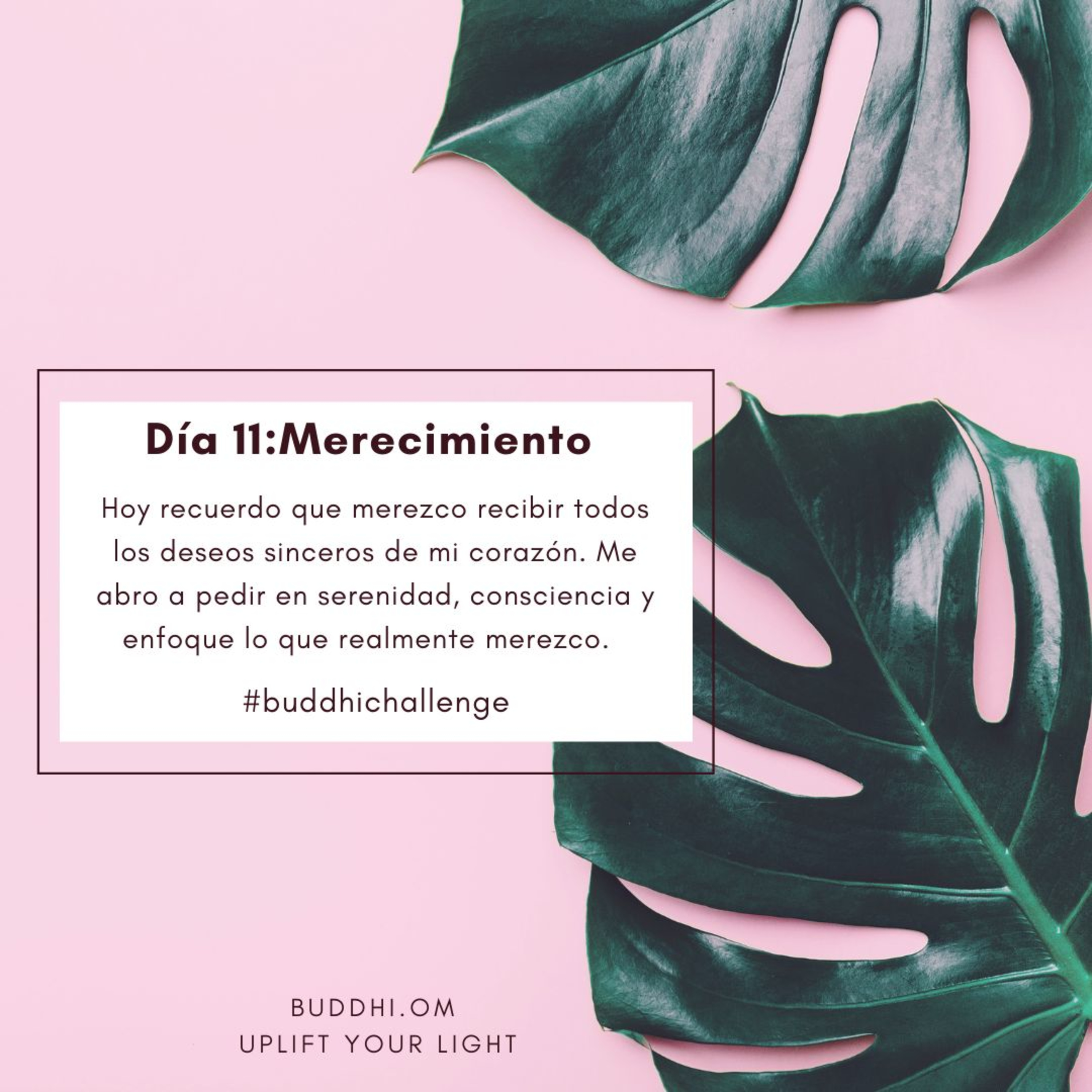 Buddhichallenge Día 11- Merecimiento episode artwork