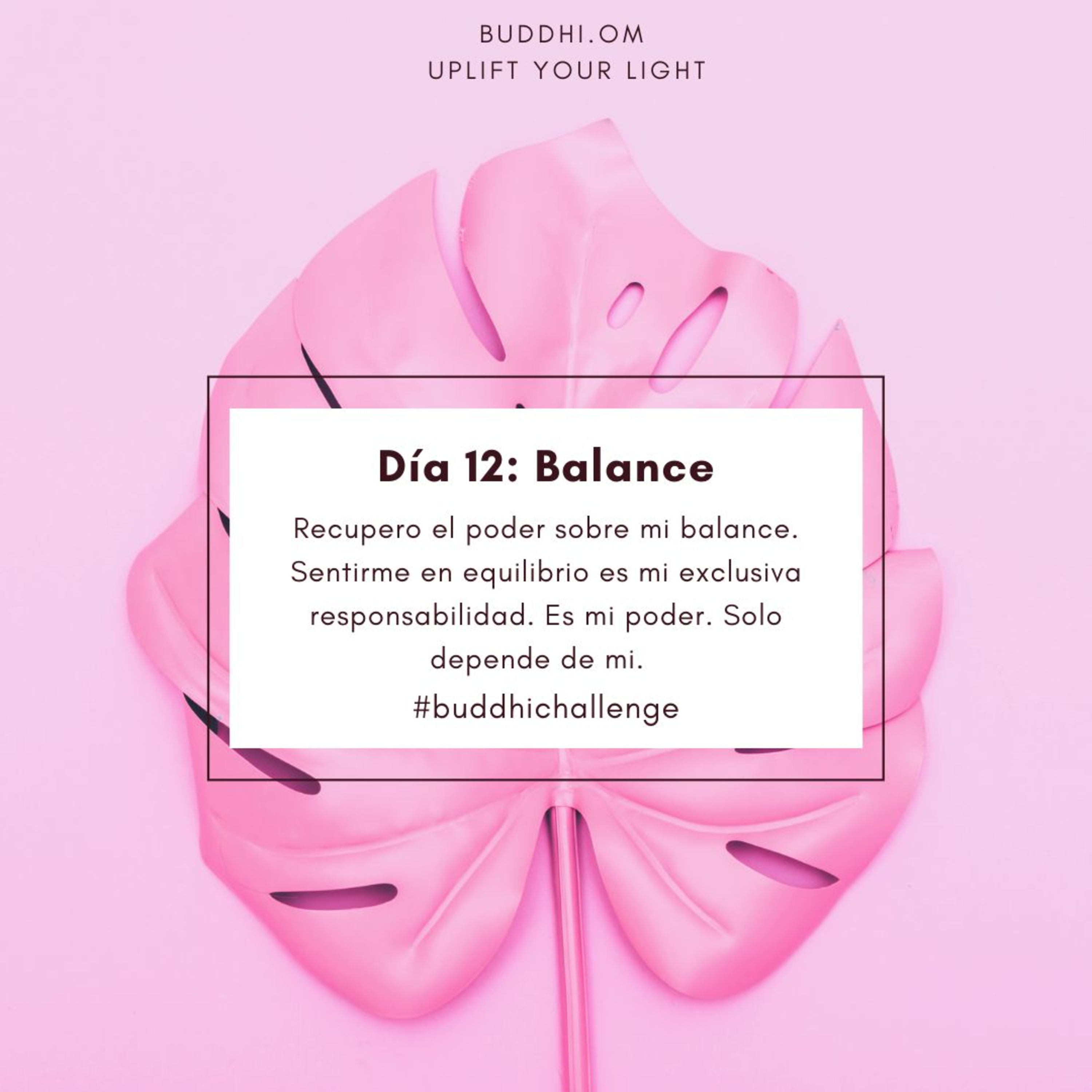 Buddhichallenge Día 12- Balance  episode artwork