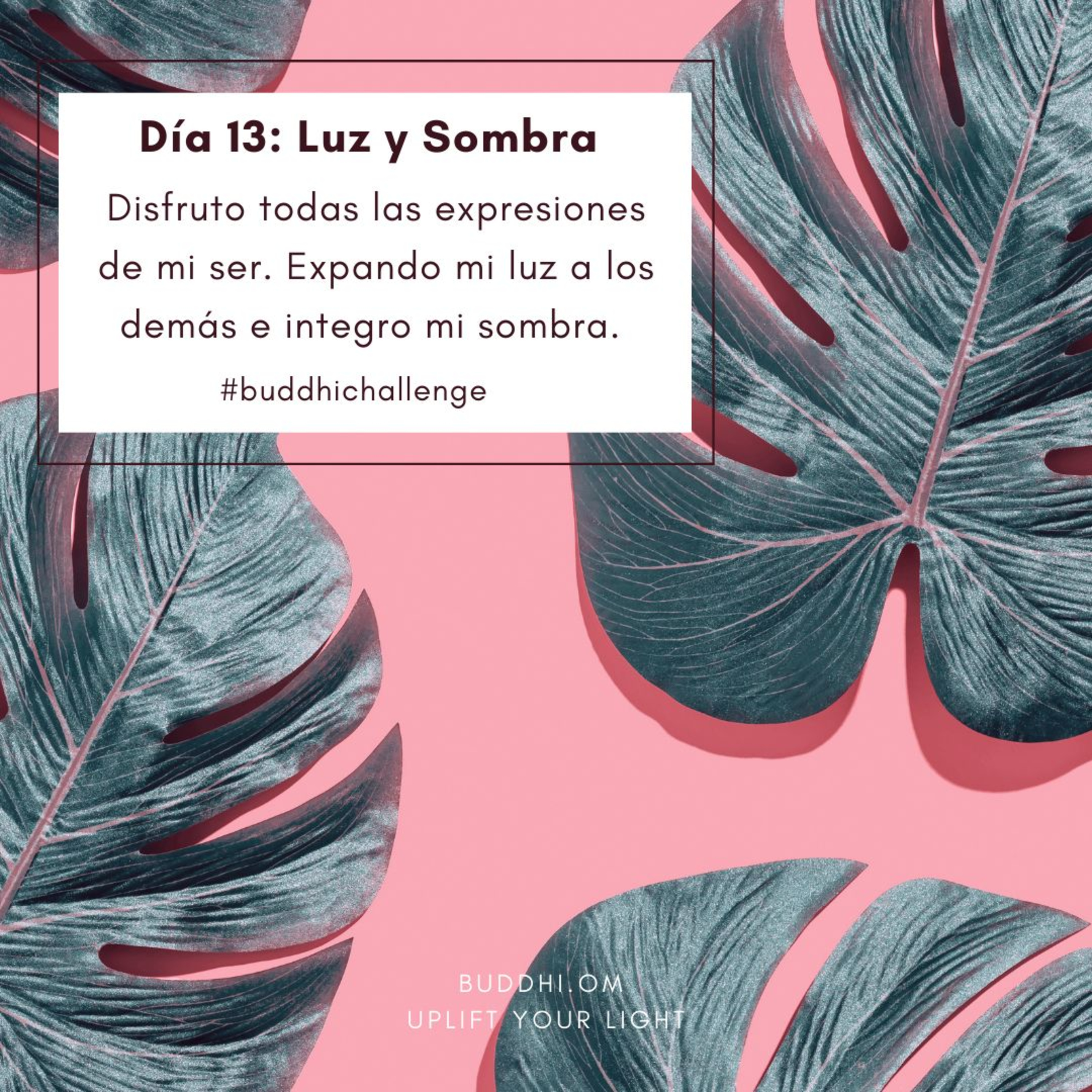 Buddhichallenge Día 13- Luz y Sombra  episode artwork
