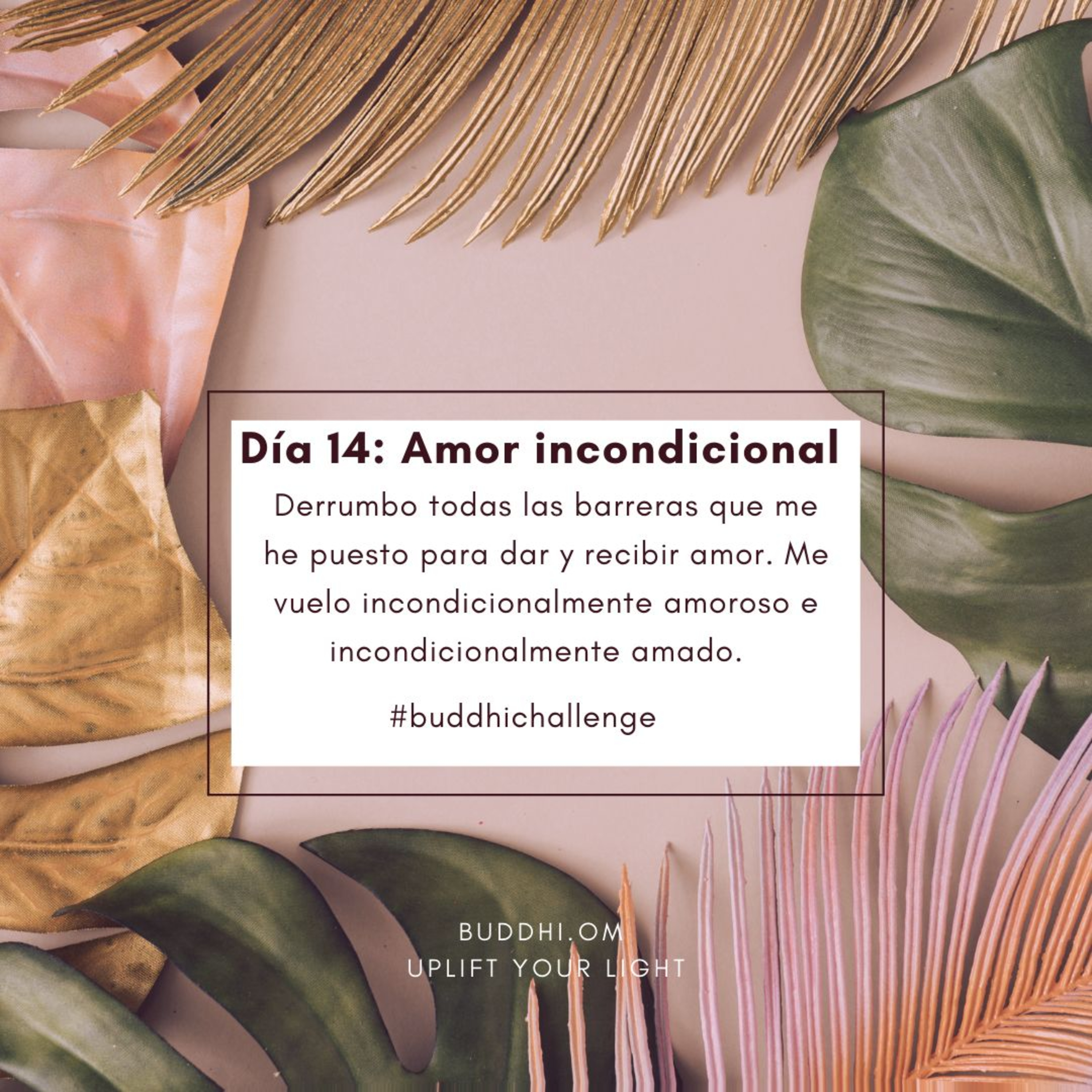 Buddhichallenge Día 14- Amor Propio episode artwork