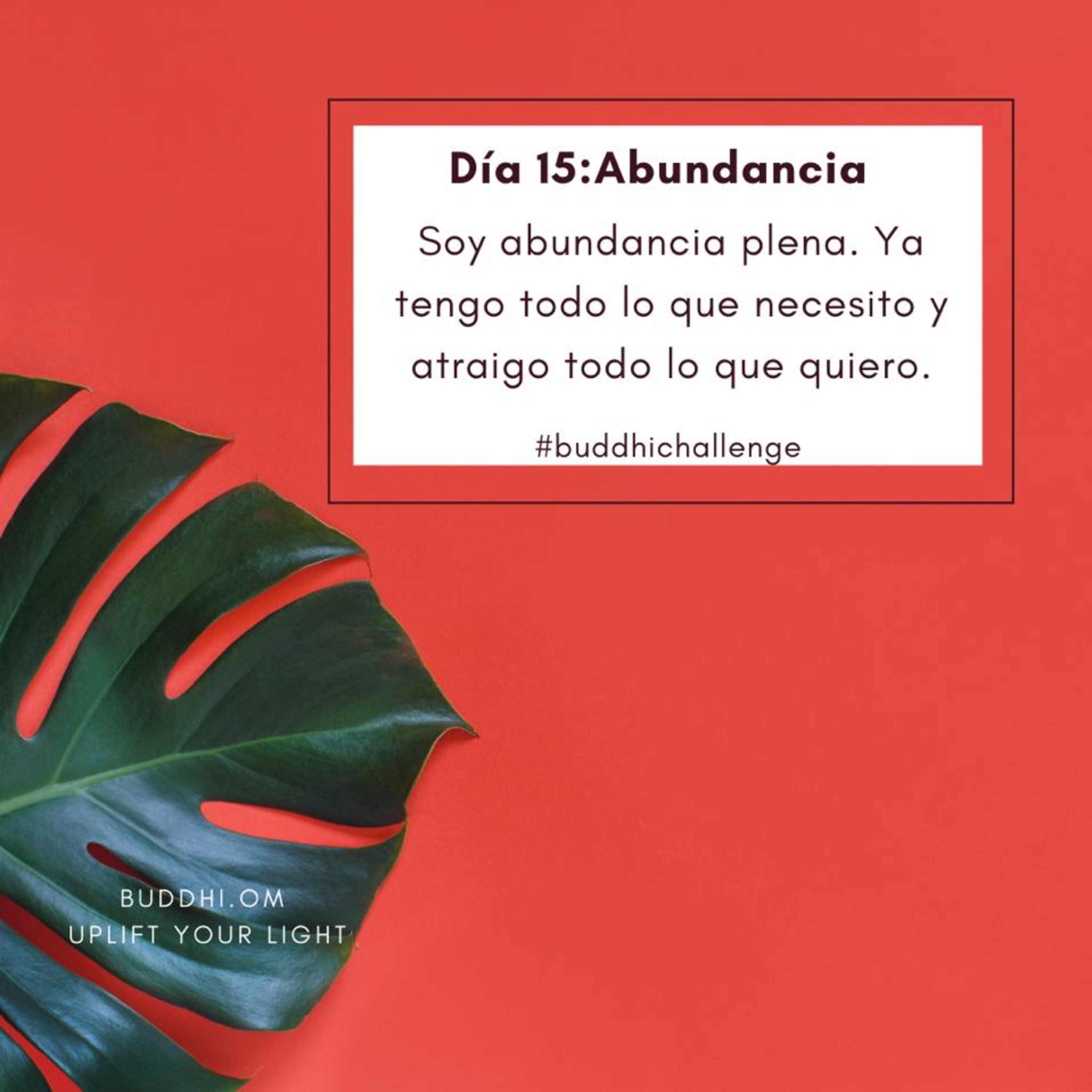 Buddhichallenge Día 15- Día Abundancia episode artwork