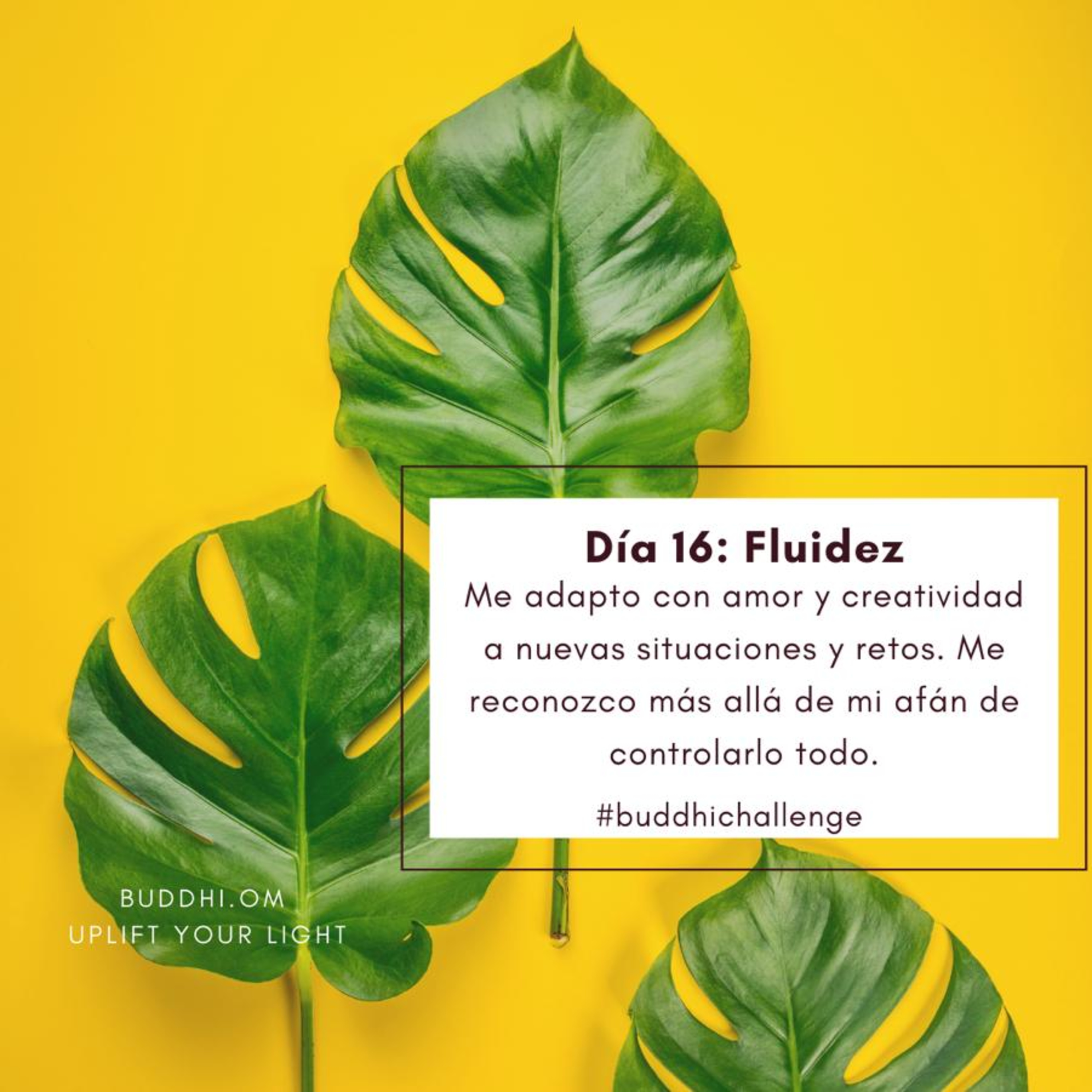 Buddhichallenge Día 16- Fluidez  episode artwork