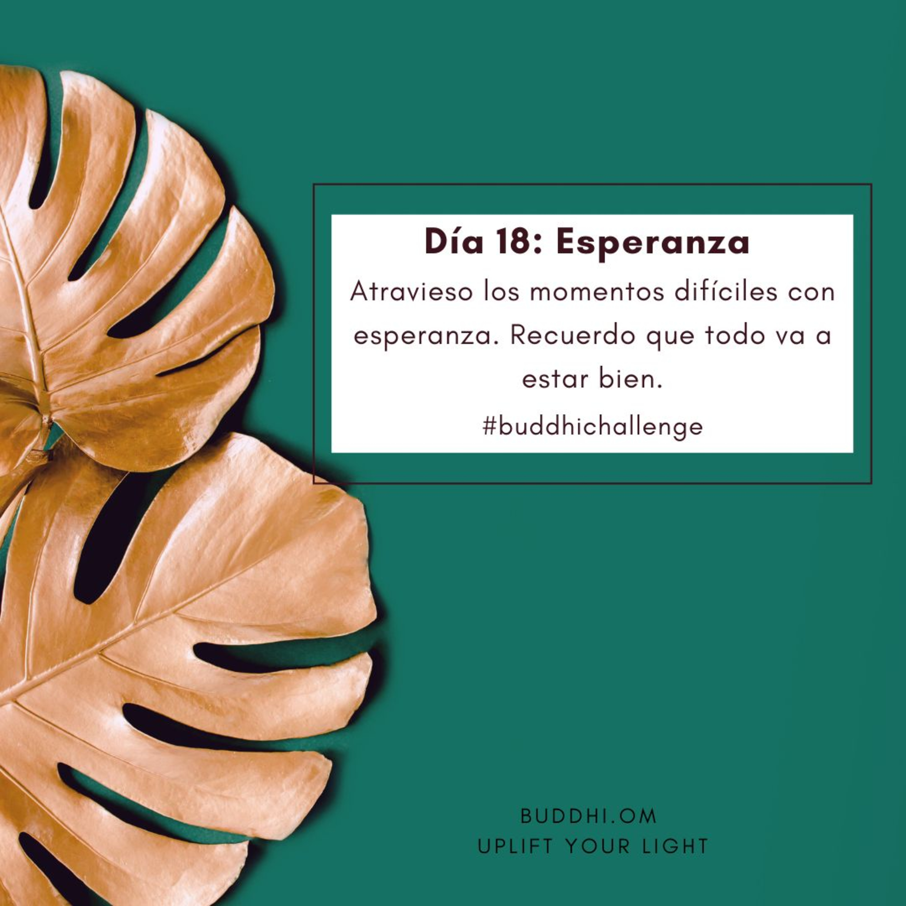 Buddhichallenge -18: Esperanza  episode artwork