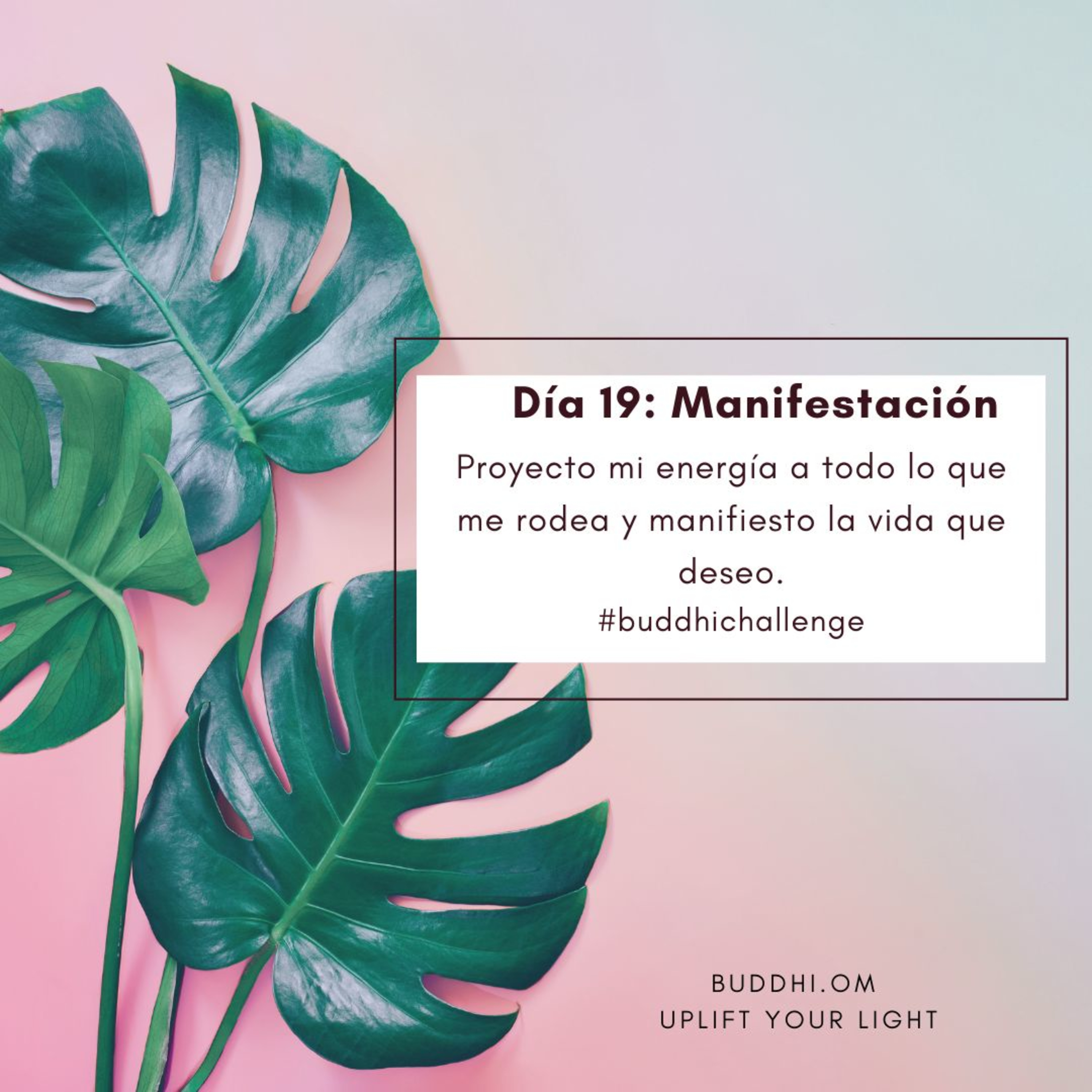Buddhichallenge Día 19- Manifestación episode artwork