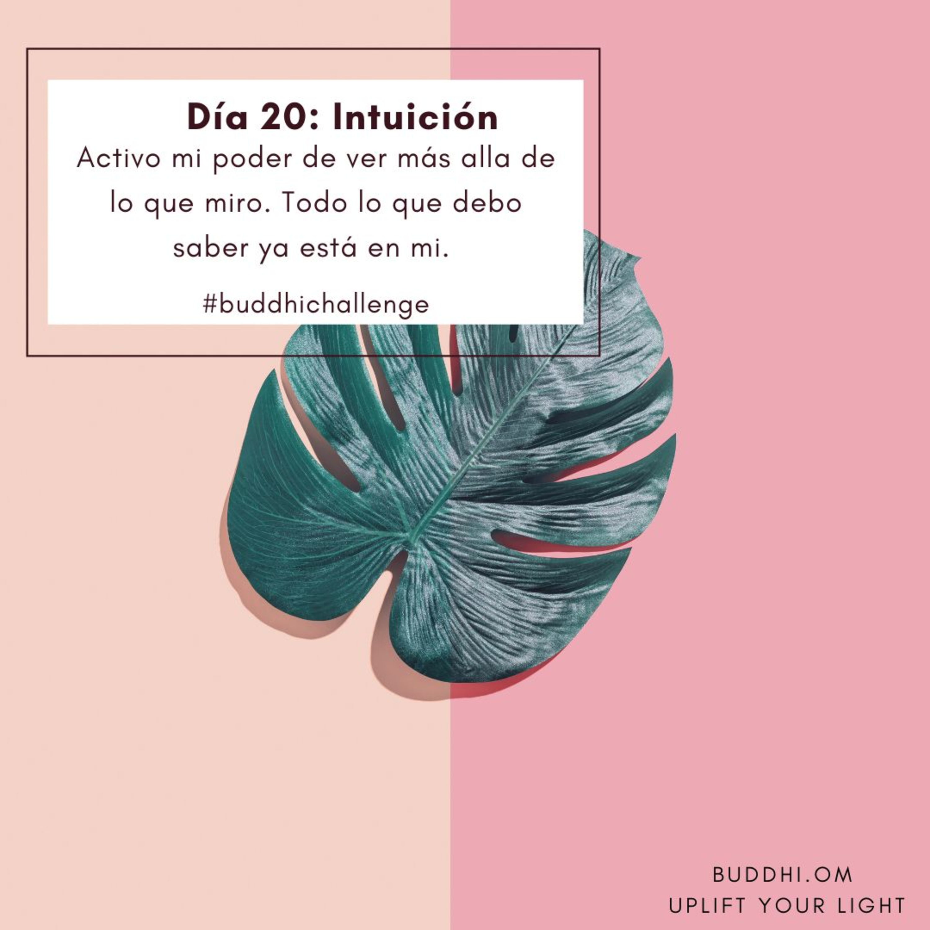 Buddhichallenge Día 20- Intuición episode artwork