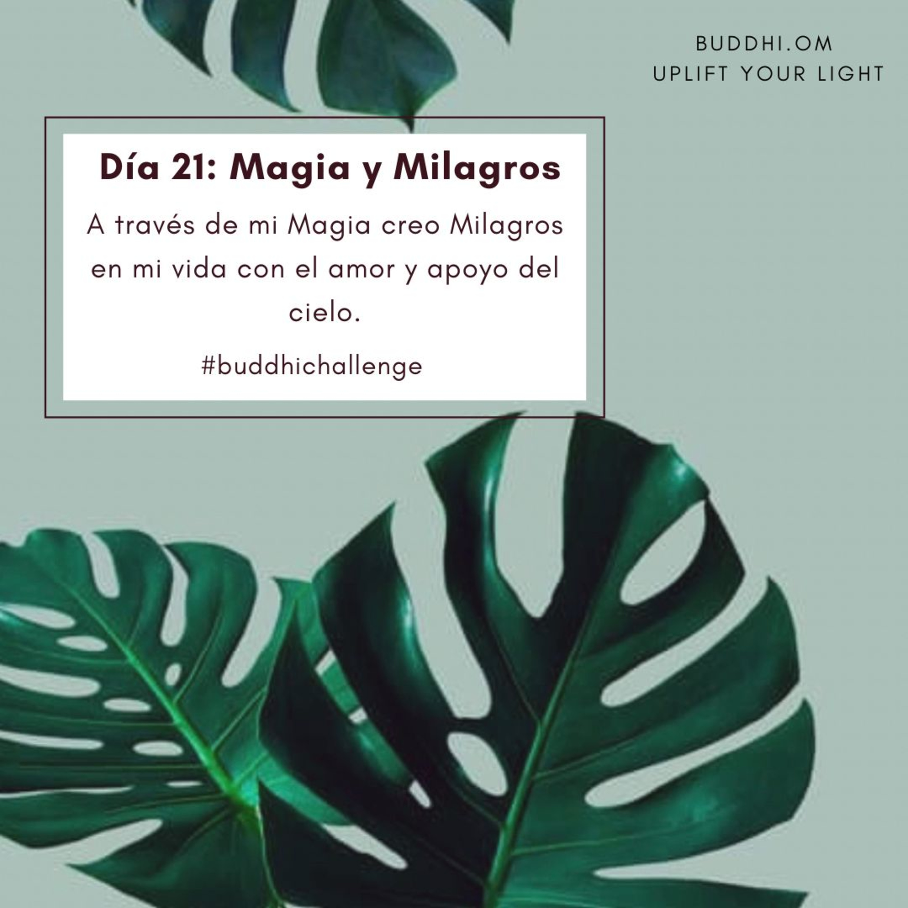 Buddhichallenge Día 21- Magia y Milagros  episode artwork