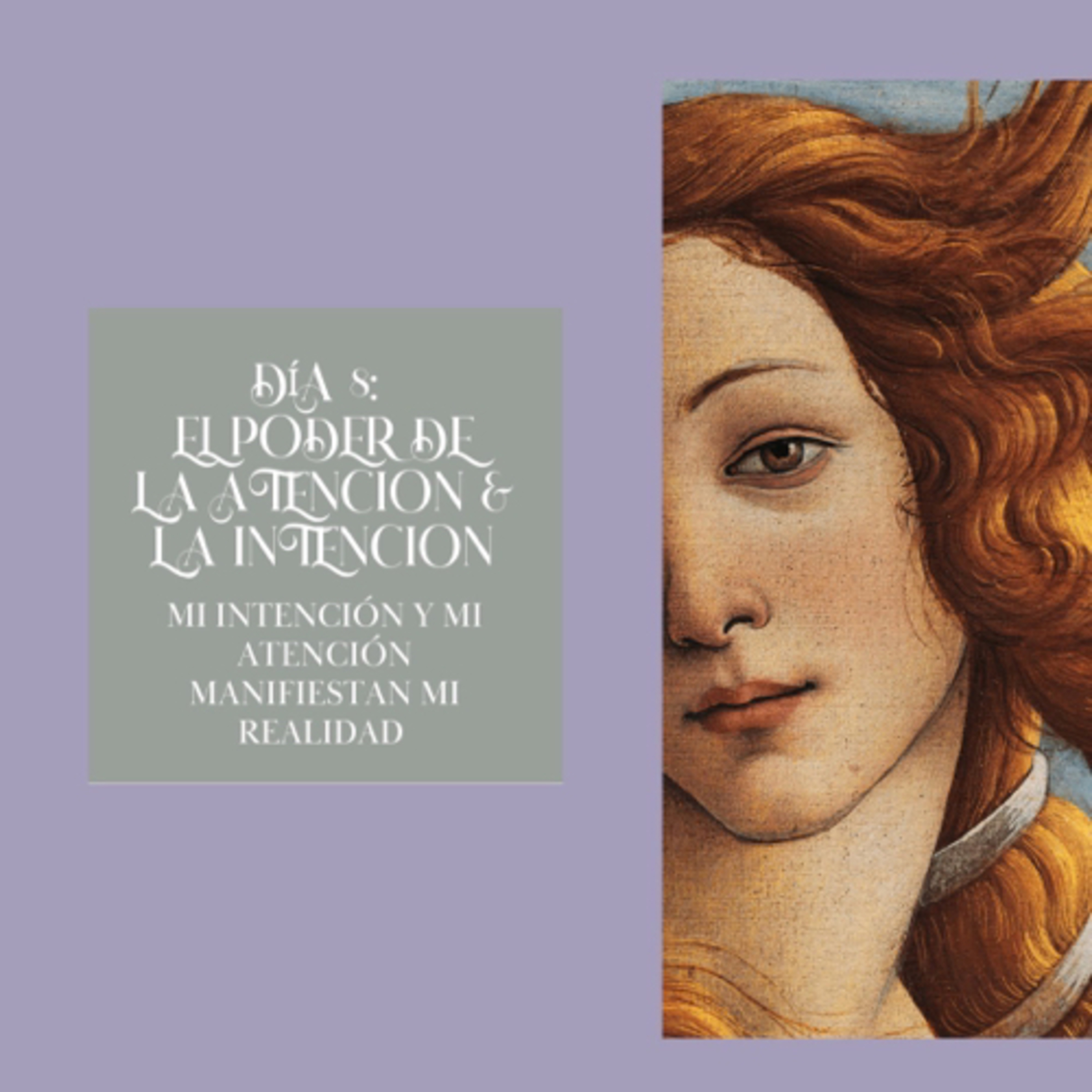 Día 8: El poder de la atención y la intención episode artwork