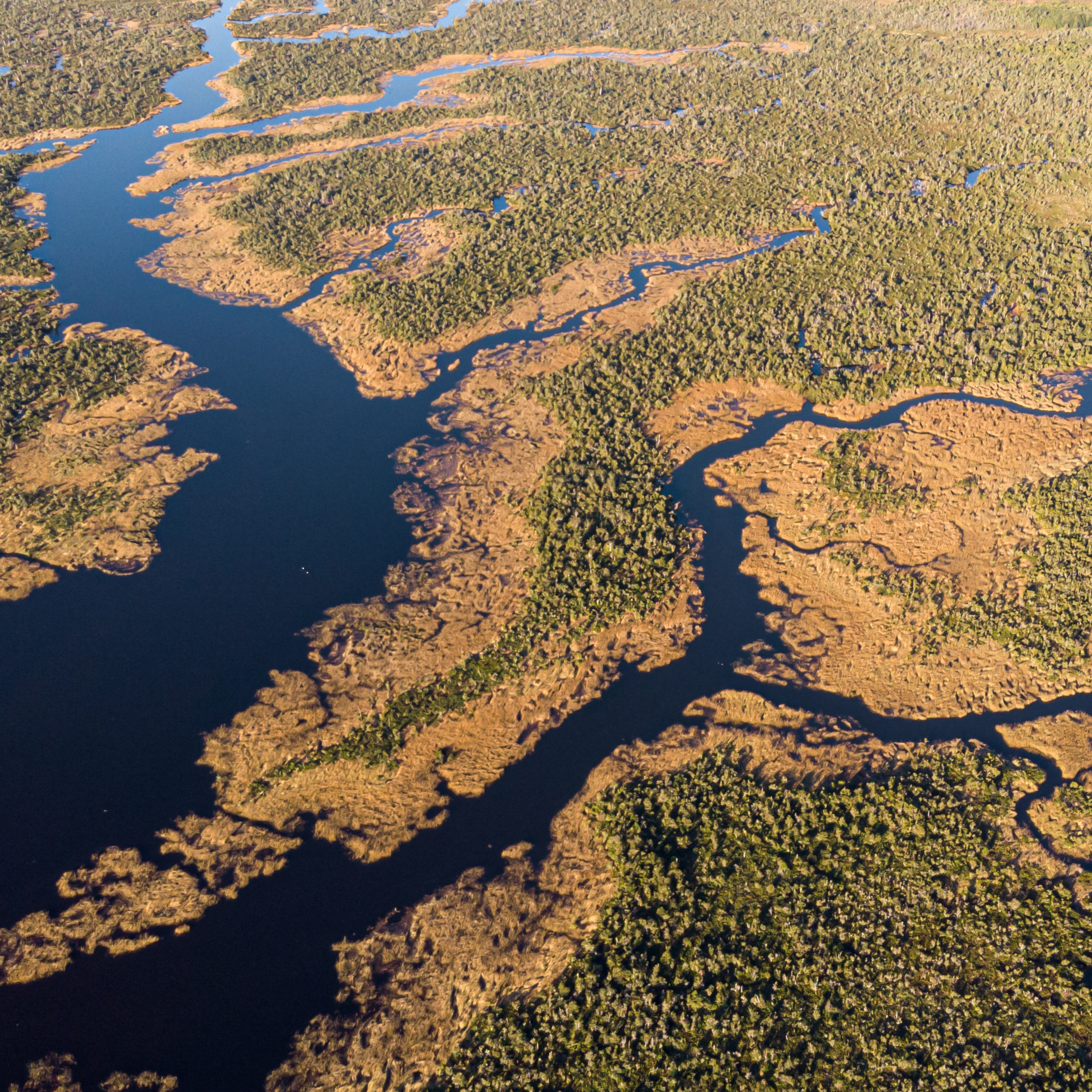 Los humedales del río Maullín