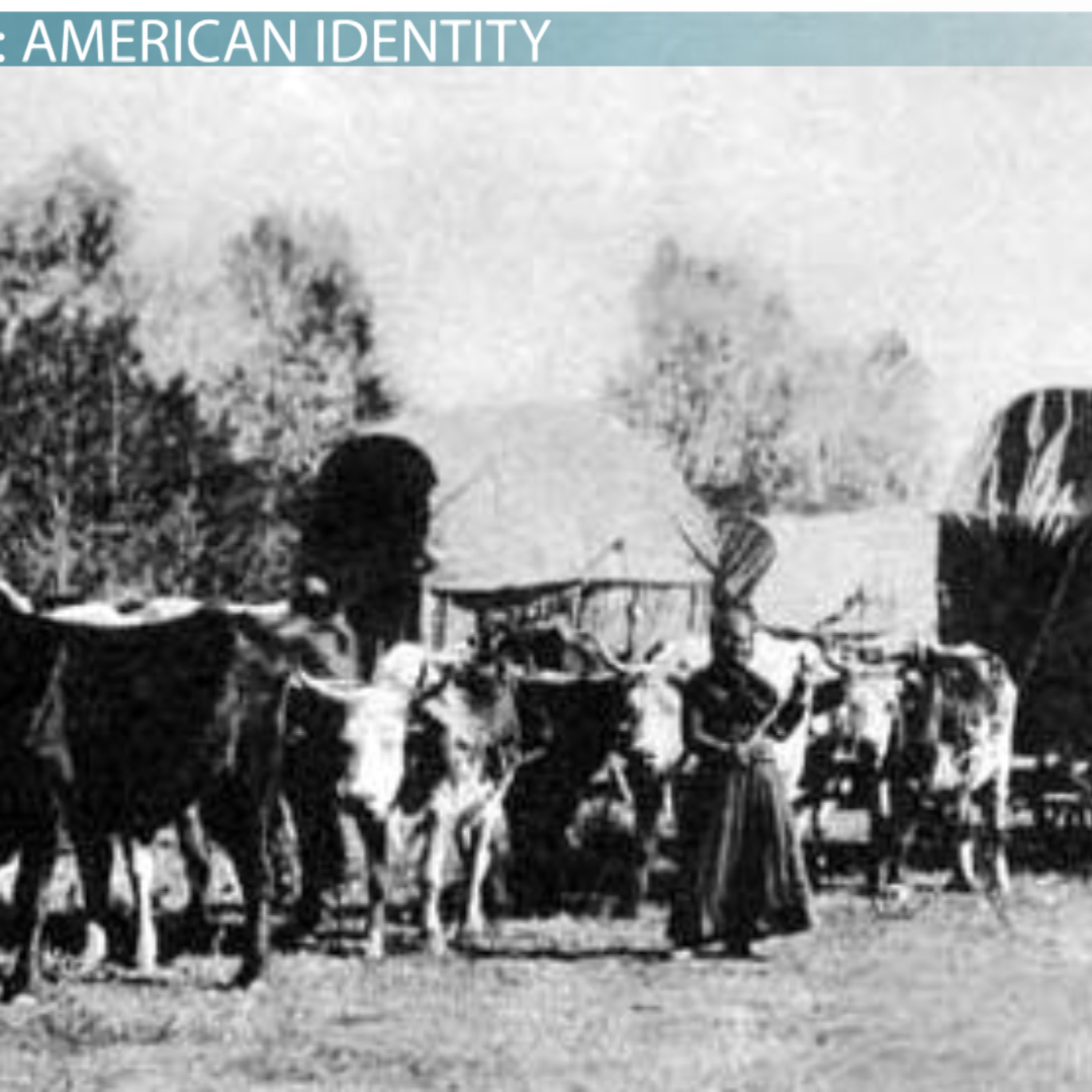 Matt Witt\'s History Podcast