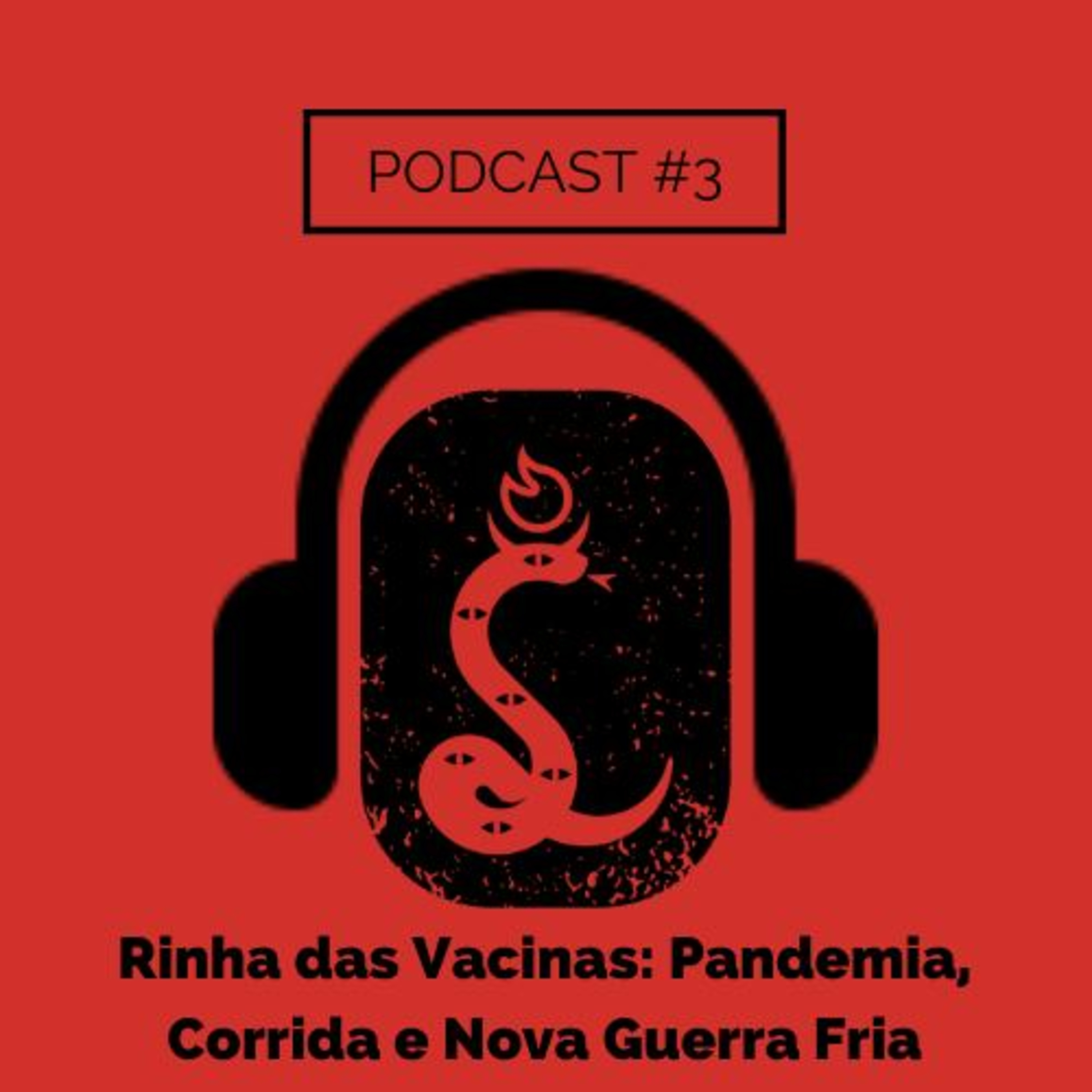 Revolução Internacionalista