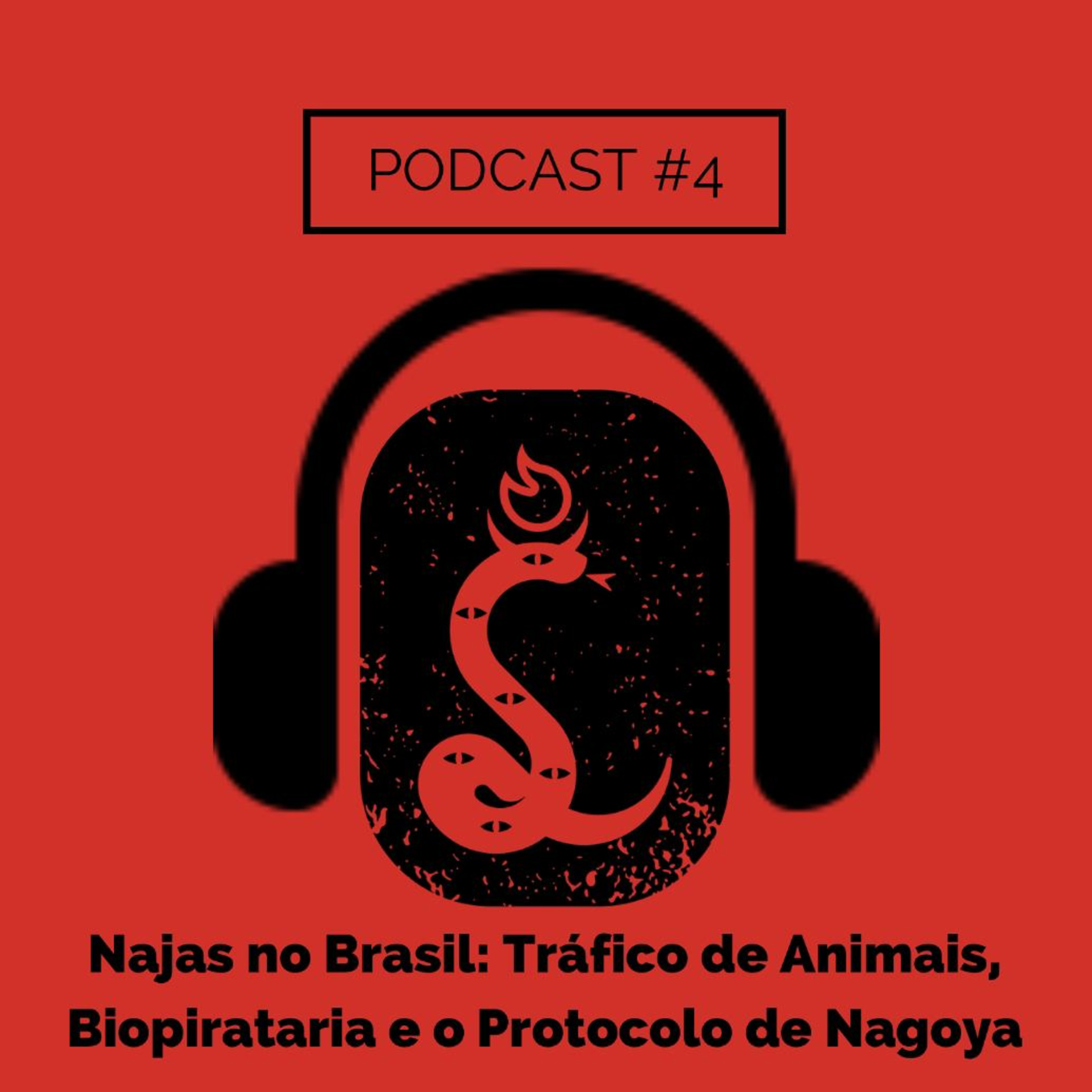 Revolução Internacionalista