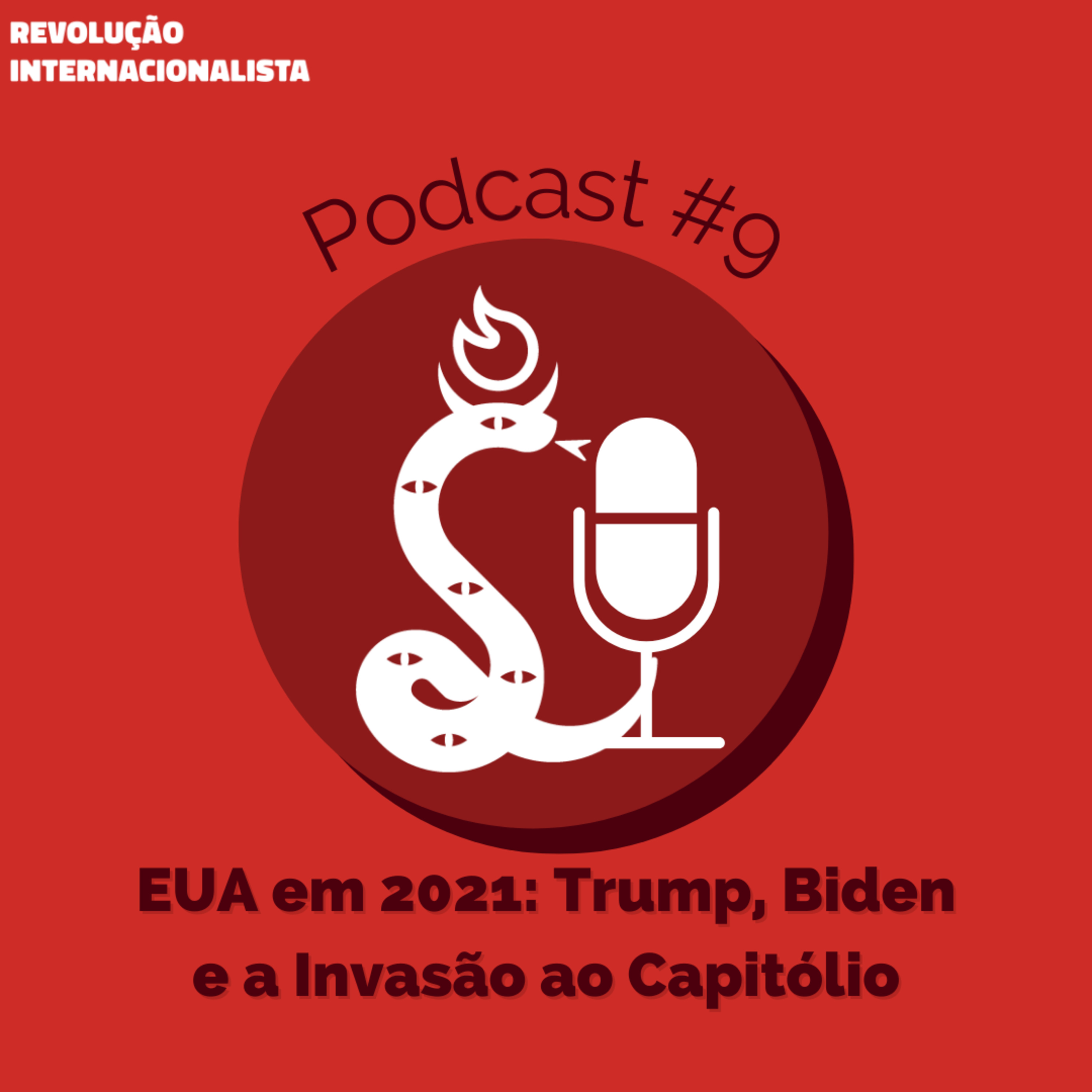Revolução Internacionalista