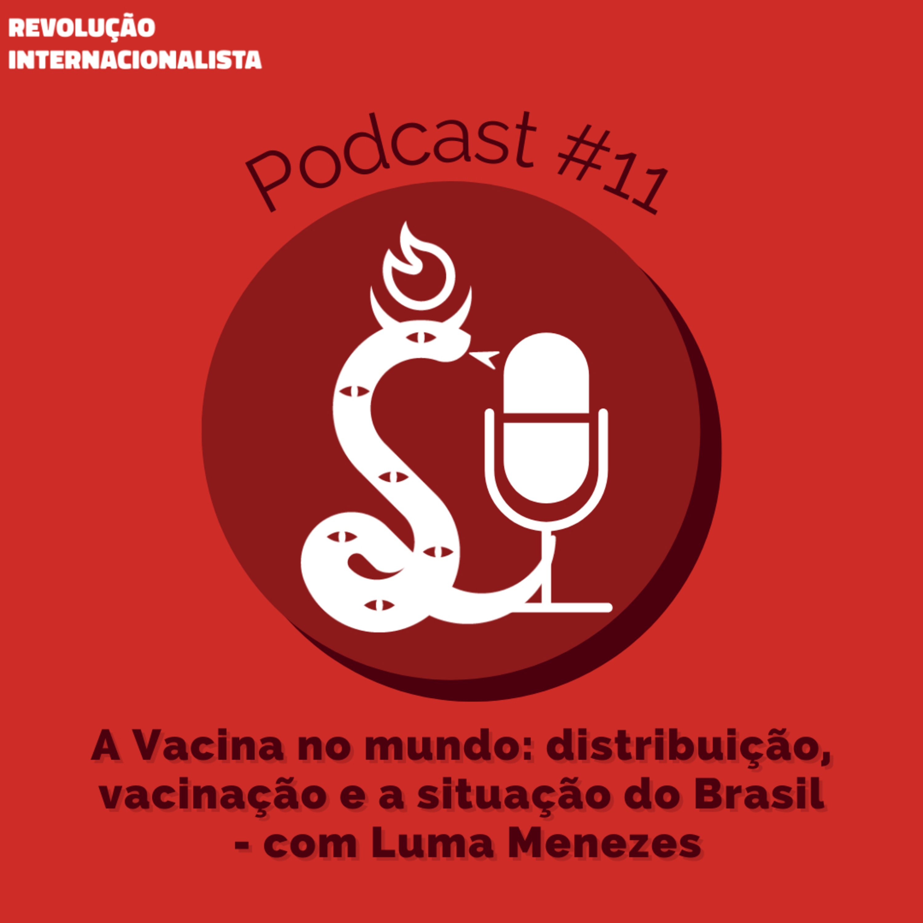 Revolução Internacionalista