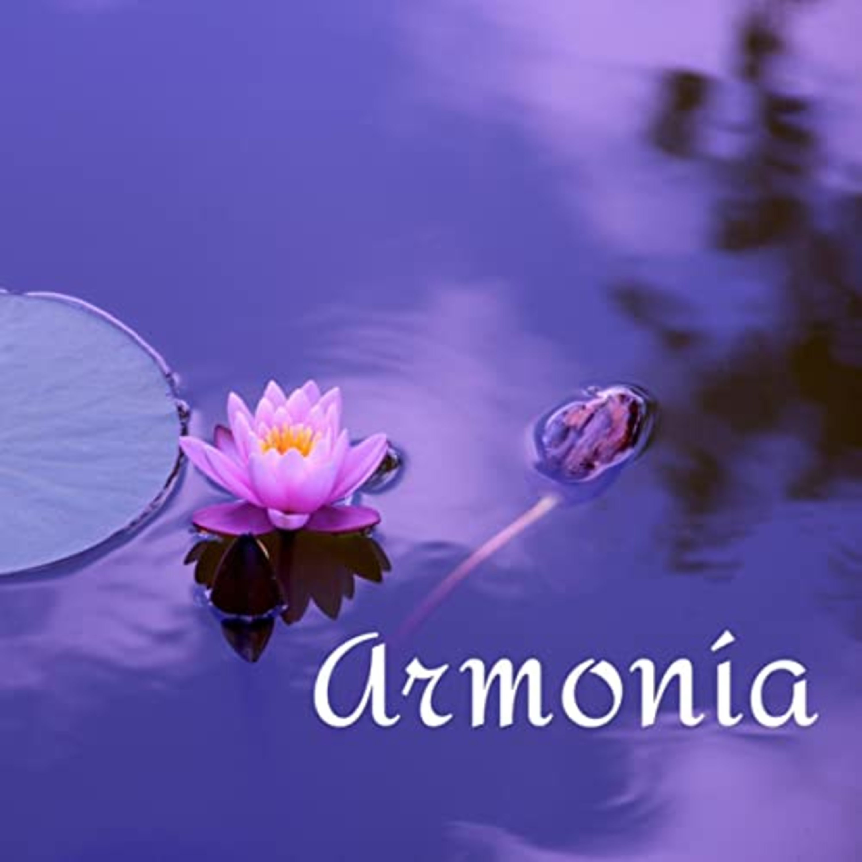 Vitamina Diaria Para El Alma