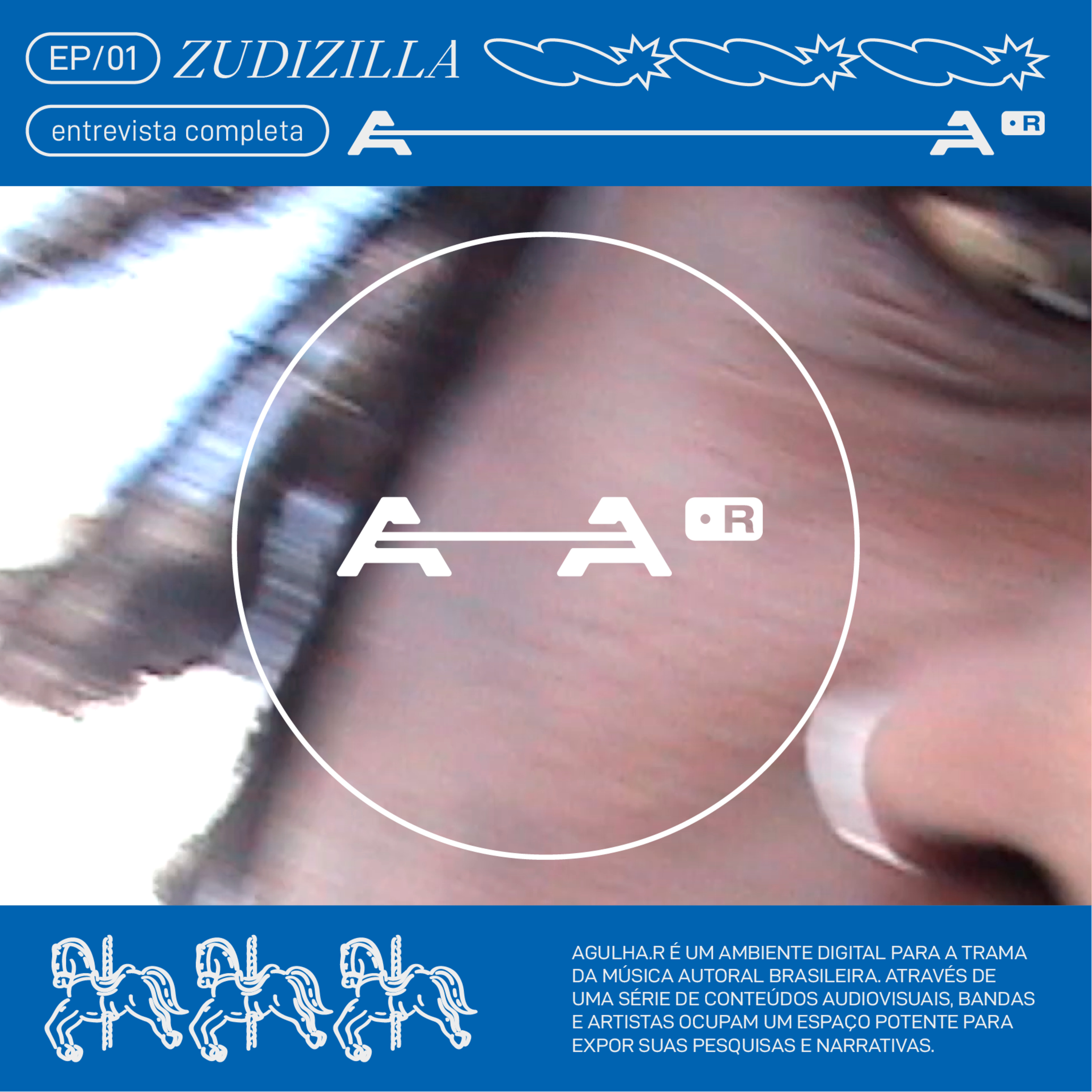 Agulha.r