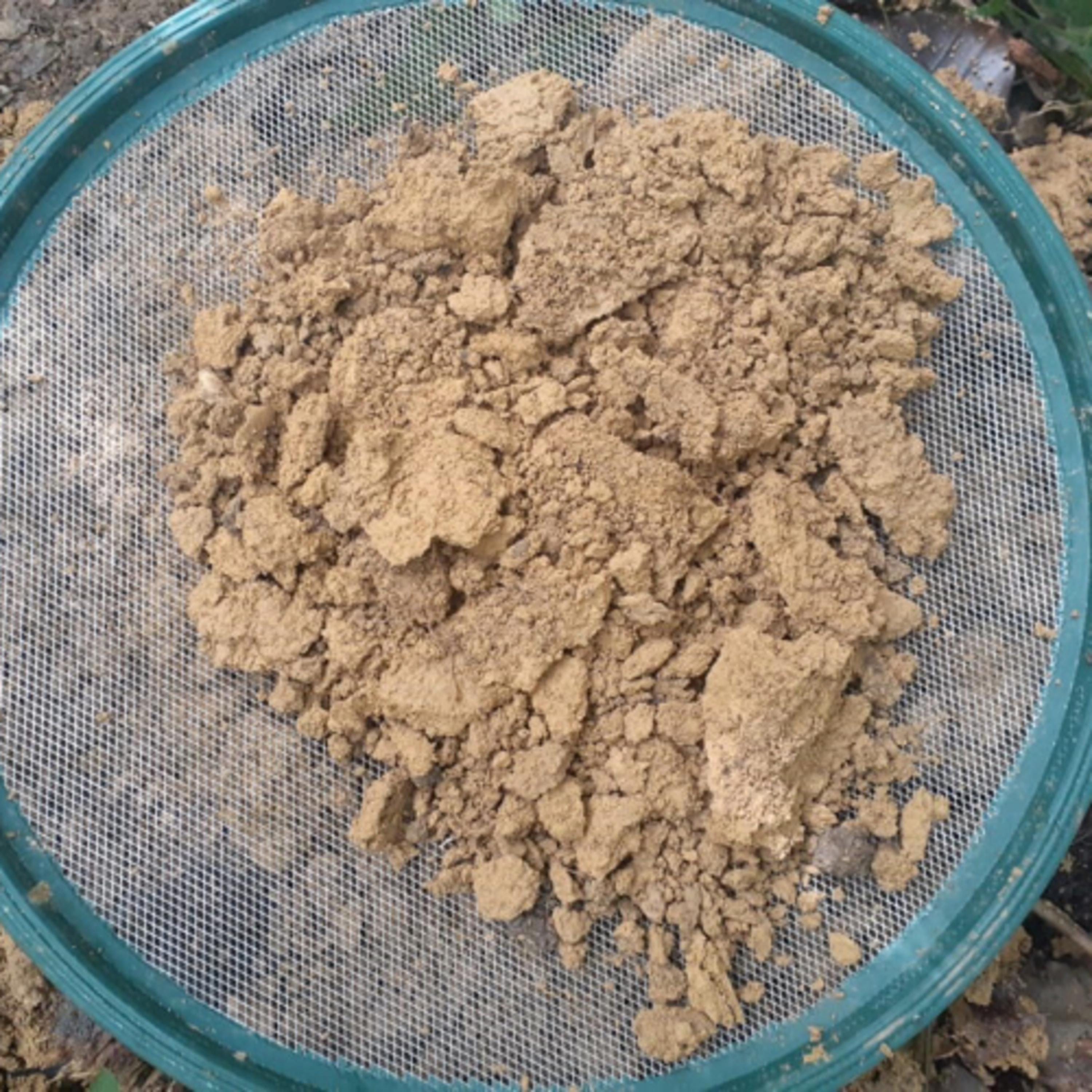 Em Campo com A Lasca Arqueologia