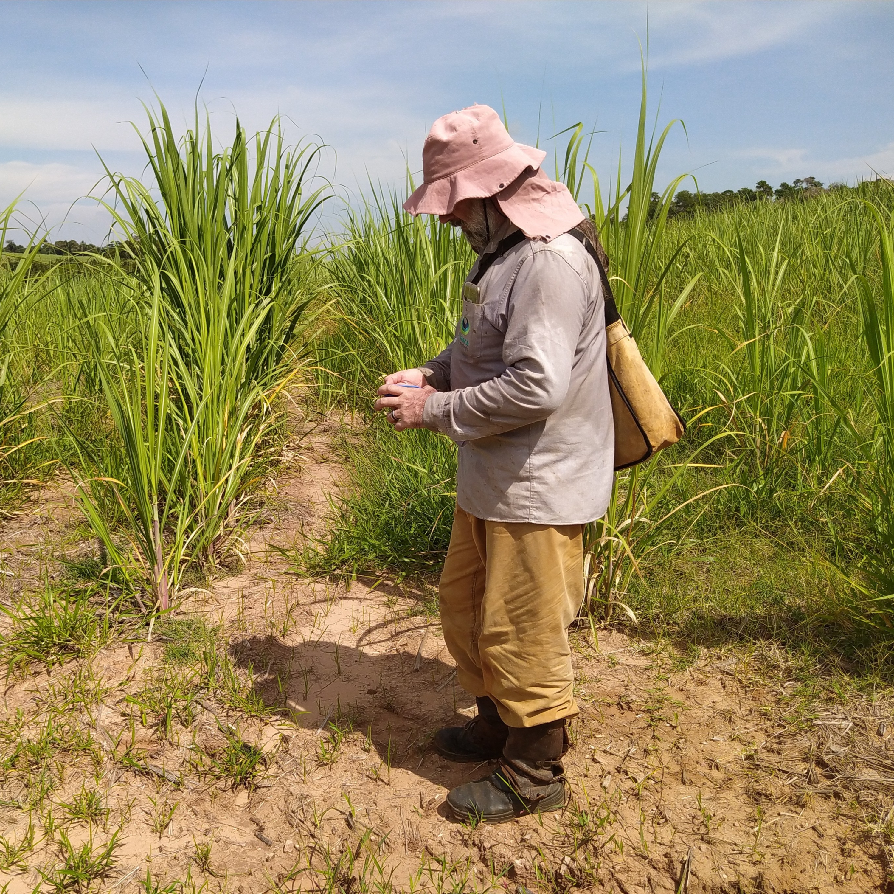 Em Campo com A Lasca Arqueologia