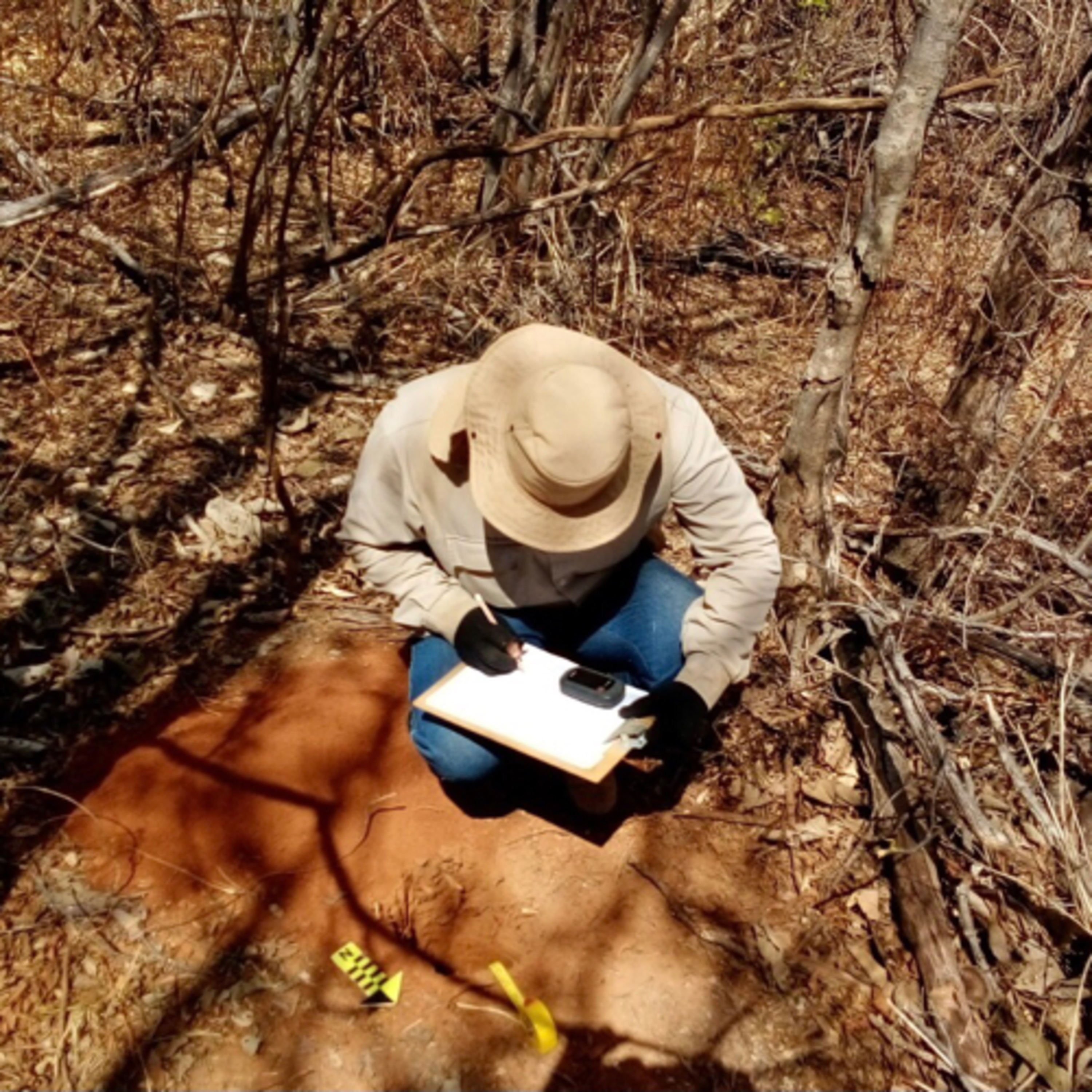 Em Campo com A Lasca Arqueologia